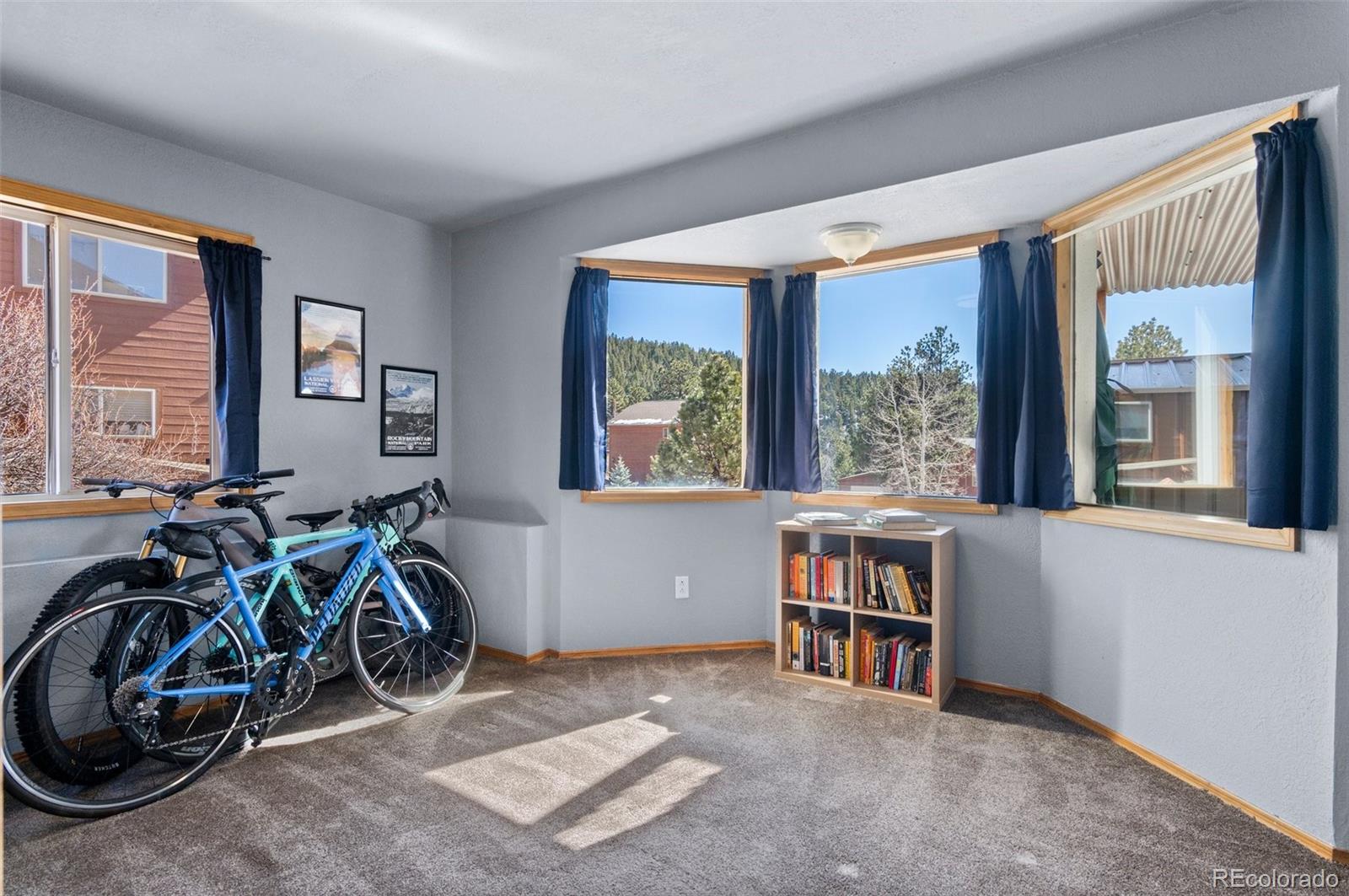 MLS Image #22 for 73  sunlight lane,bailey, Colorado