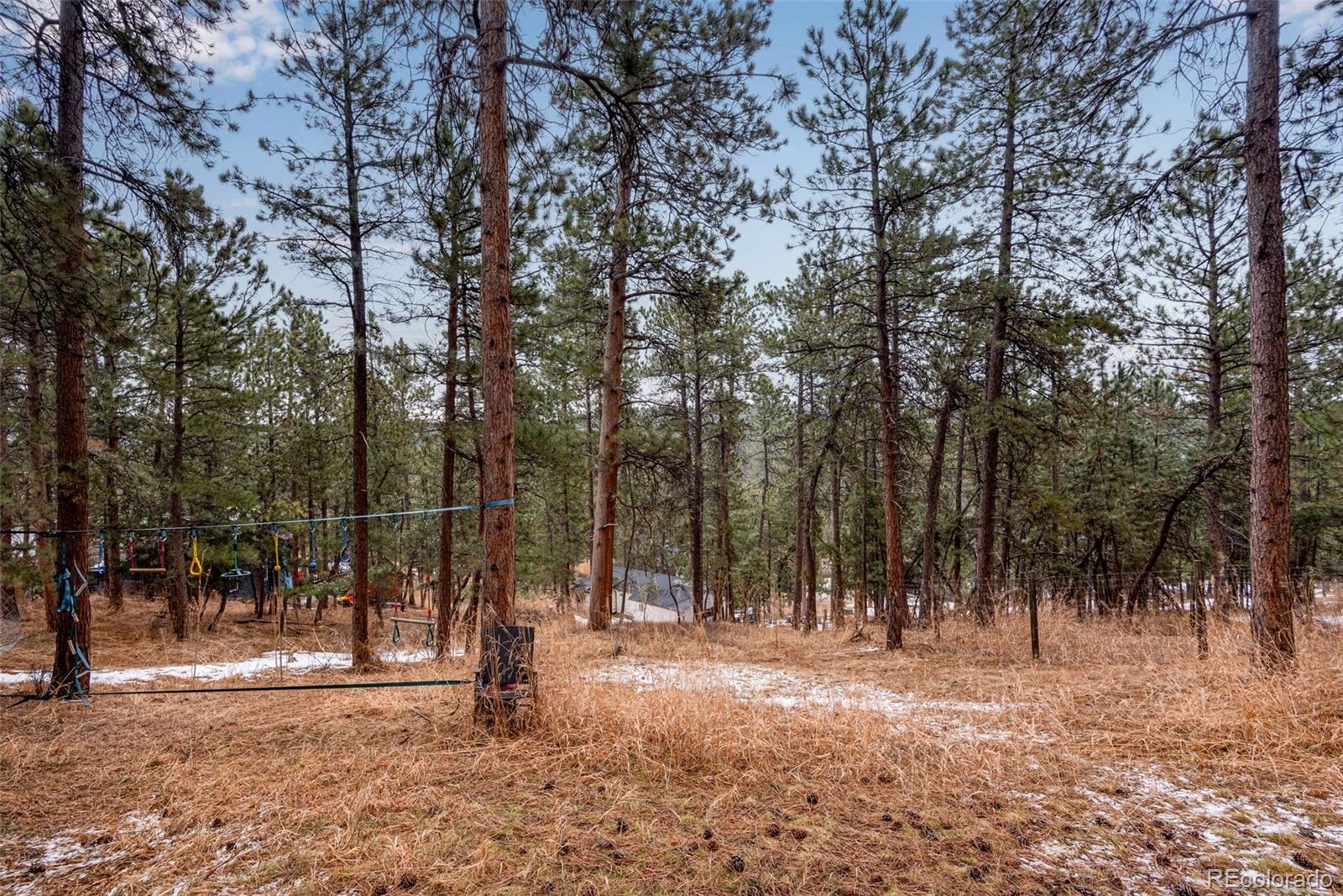 MLS Image #27 for 3038  yucca drive,evergreen, Colorado