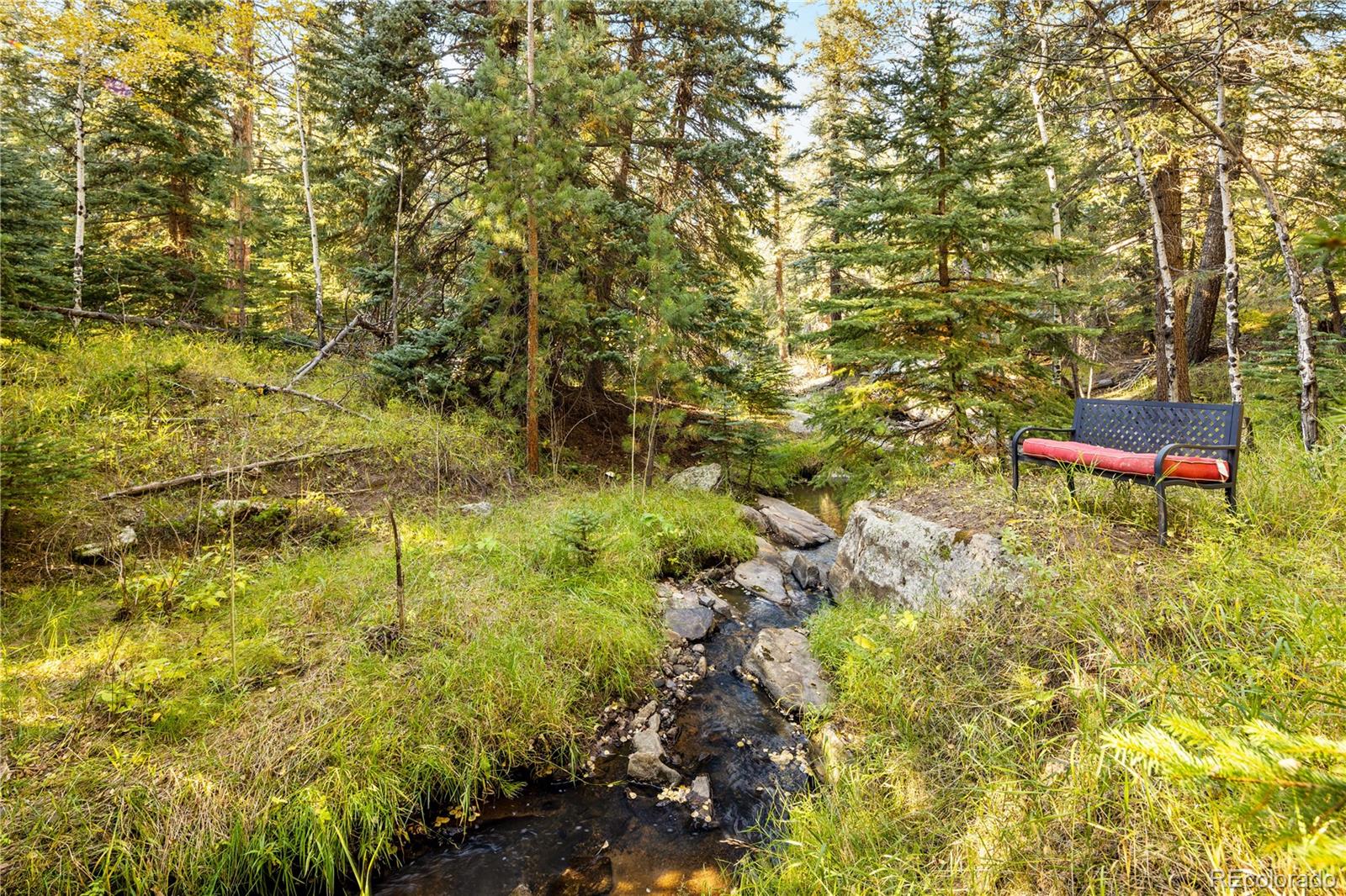 MLS Image #0 for 32217  buffalo park road,evergreen, Colorado