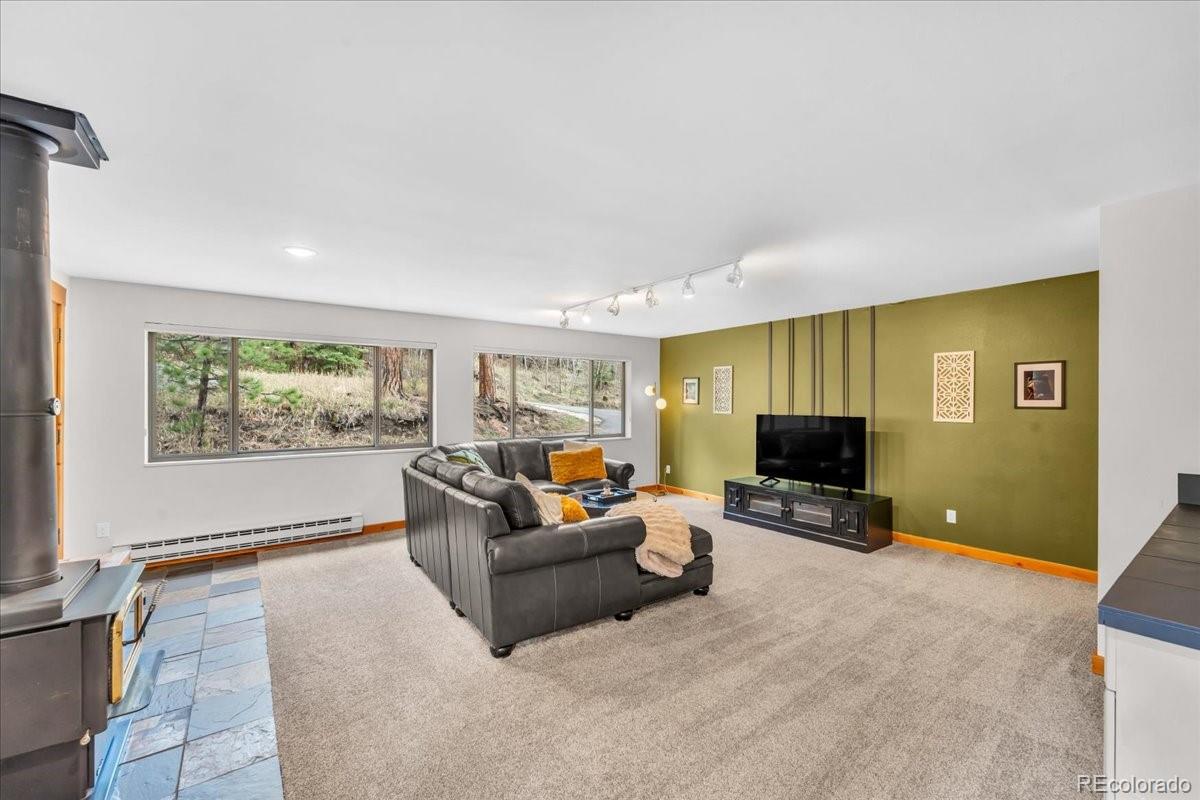 MLS Image #18 for 32217  buffalo park road,evergreen, Colorado