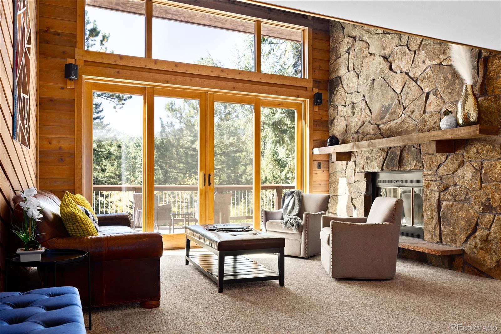 MLS Image #2 for 32217  buffalo park road,evergreen, Colorado