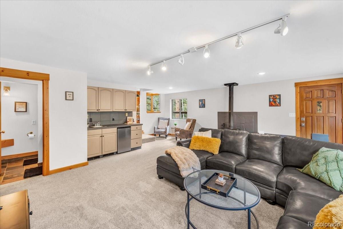 MLS Image #20 for 32217  buffalo park road,evergreen, Colorado