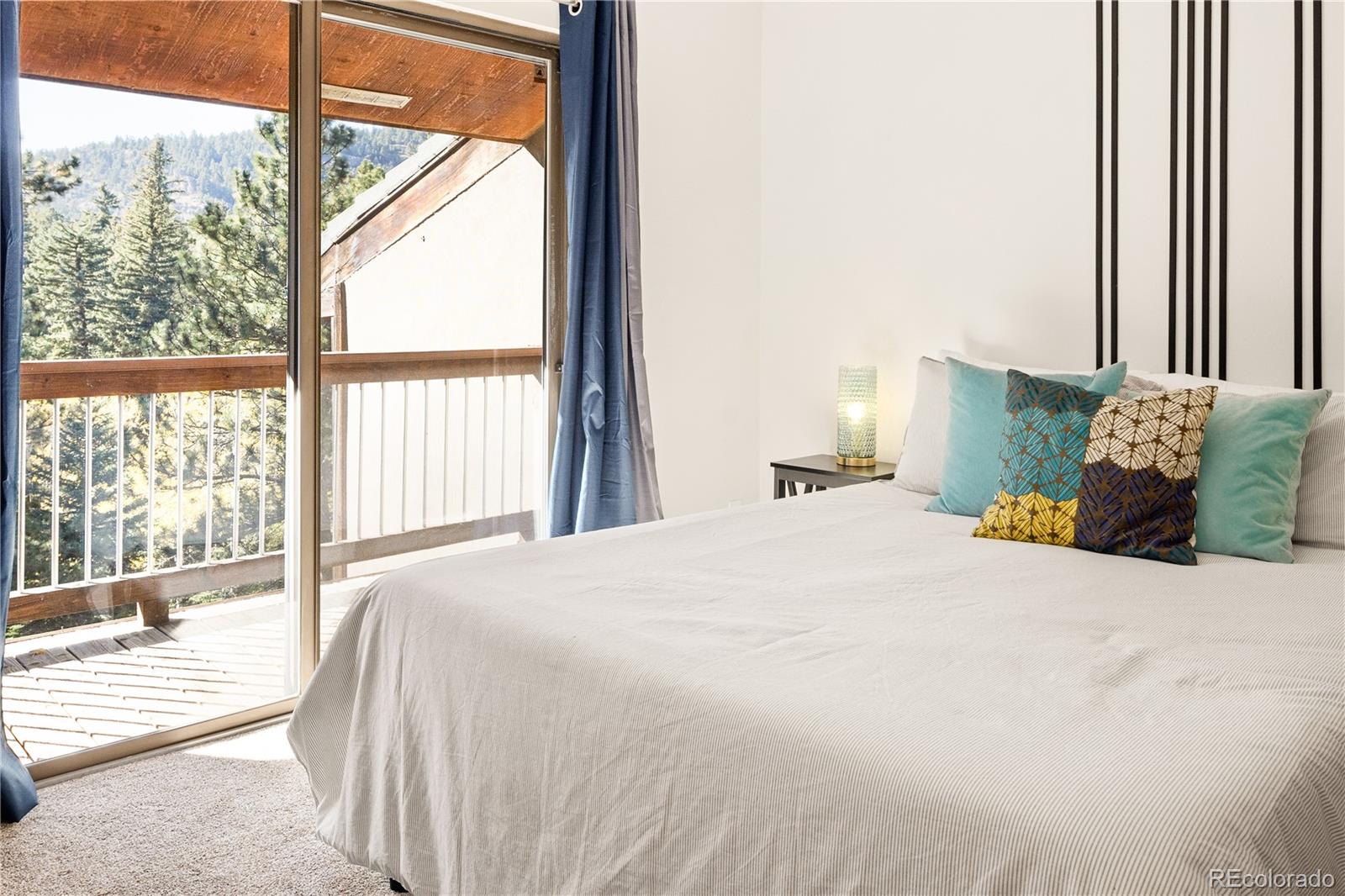 MLS Image #28 for 32217  buffalo park road,evergreen, Colorado