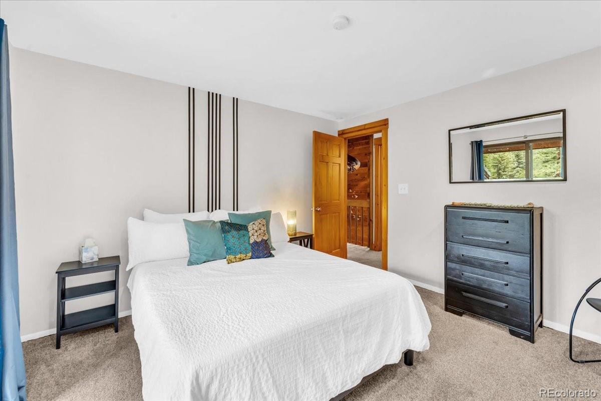 MLS Image #29 for 32217  buffalo park road,evergreen, Colorado