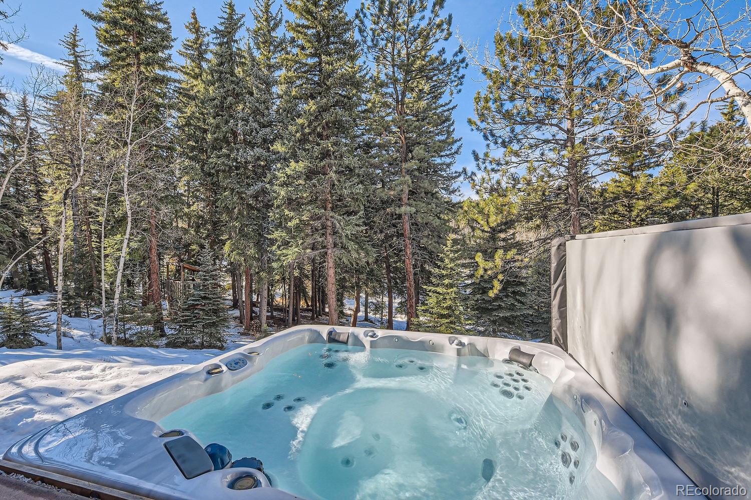 MLS Image #46 for 32217  buffalo park road,evergreen, Colorado
