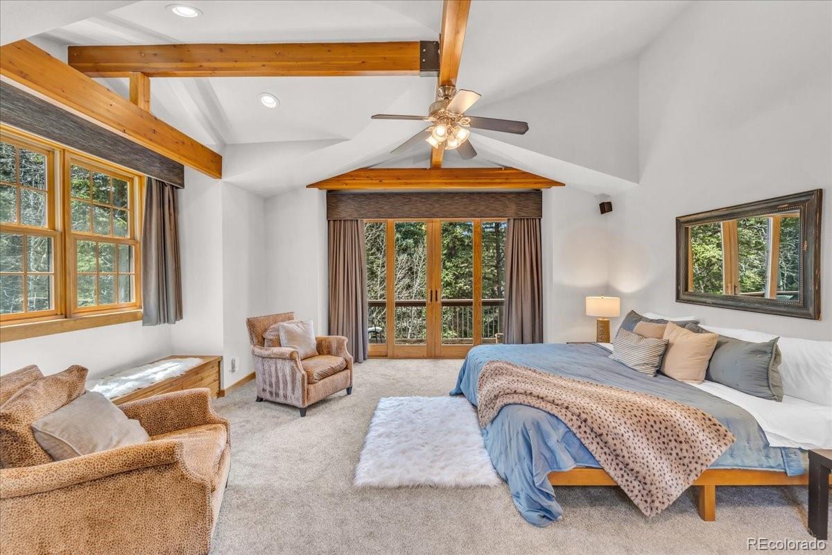 MLS Image #5 for 32217  buffalo park road,evergreen, Colorado