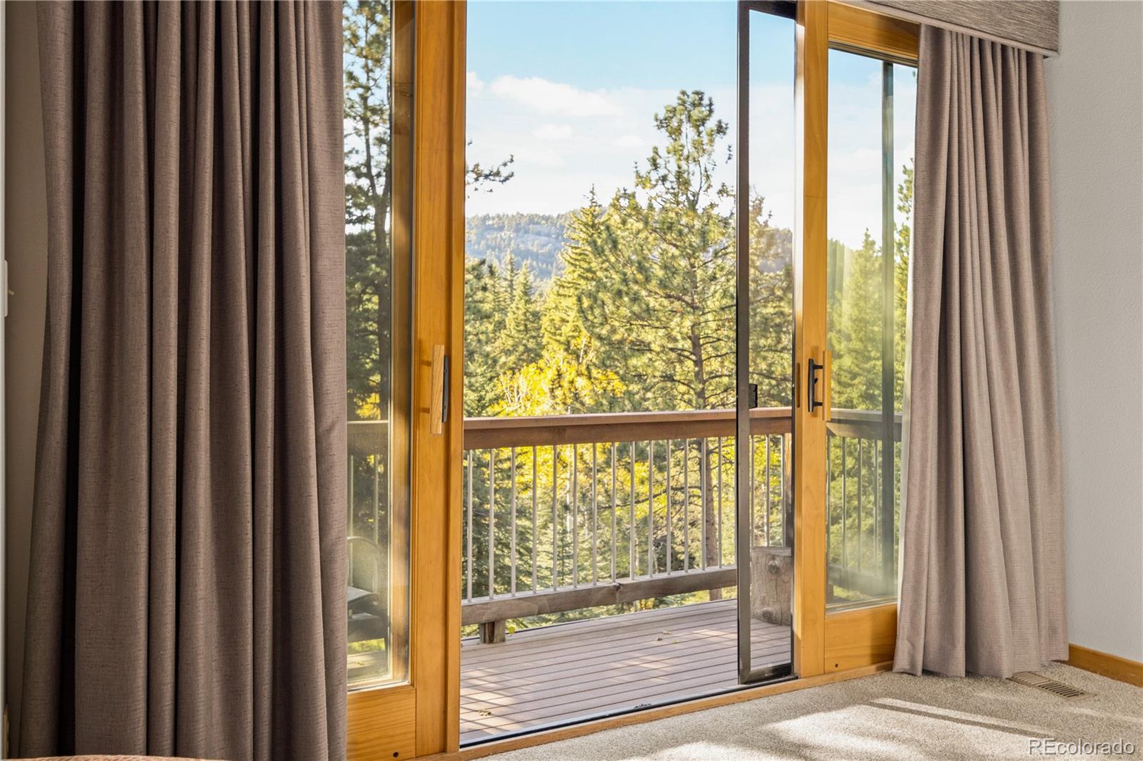 MLS Image #7 for 32217  buffalo park road,evergreen, Colorado