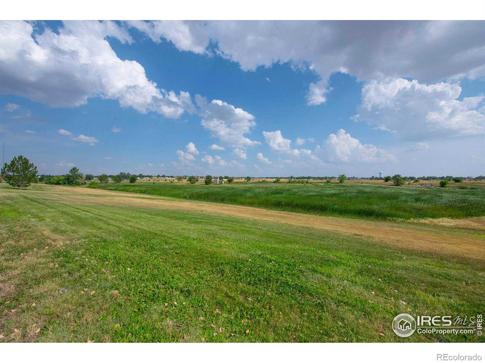 MLS Image #31 for 711  elm street,frederick, Colorado