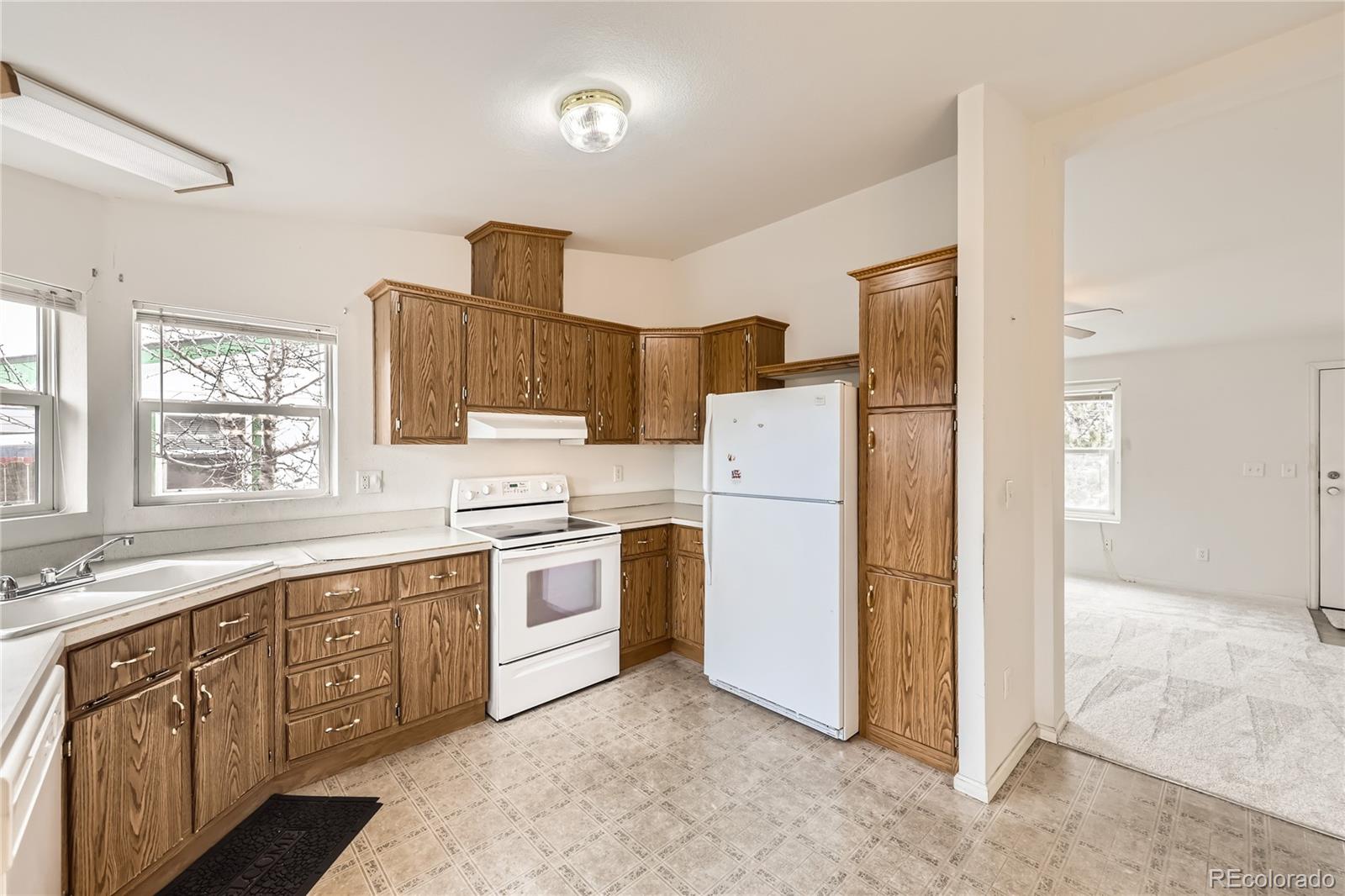 MLS Image #4 for 9121  camenisch way,denver, Colorado