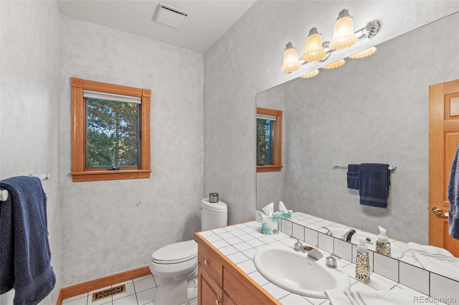 MLS Image #26 for 2828  keystone drive,evergreen, Colorado