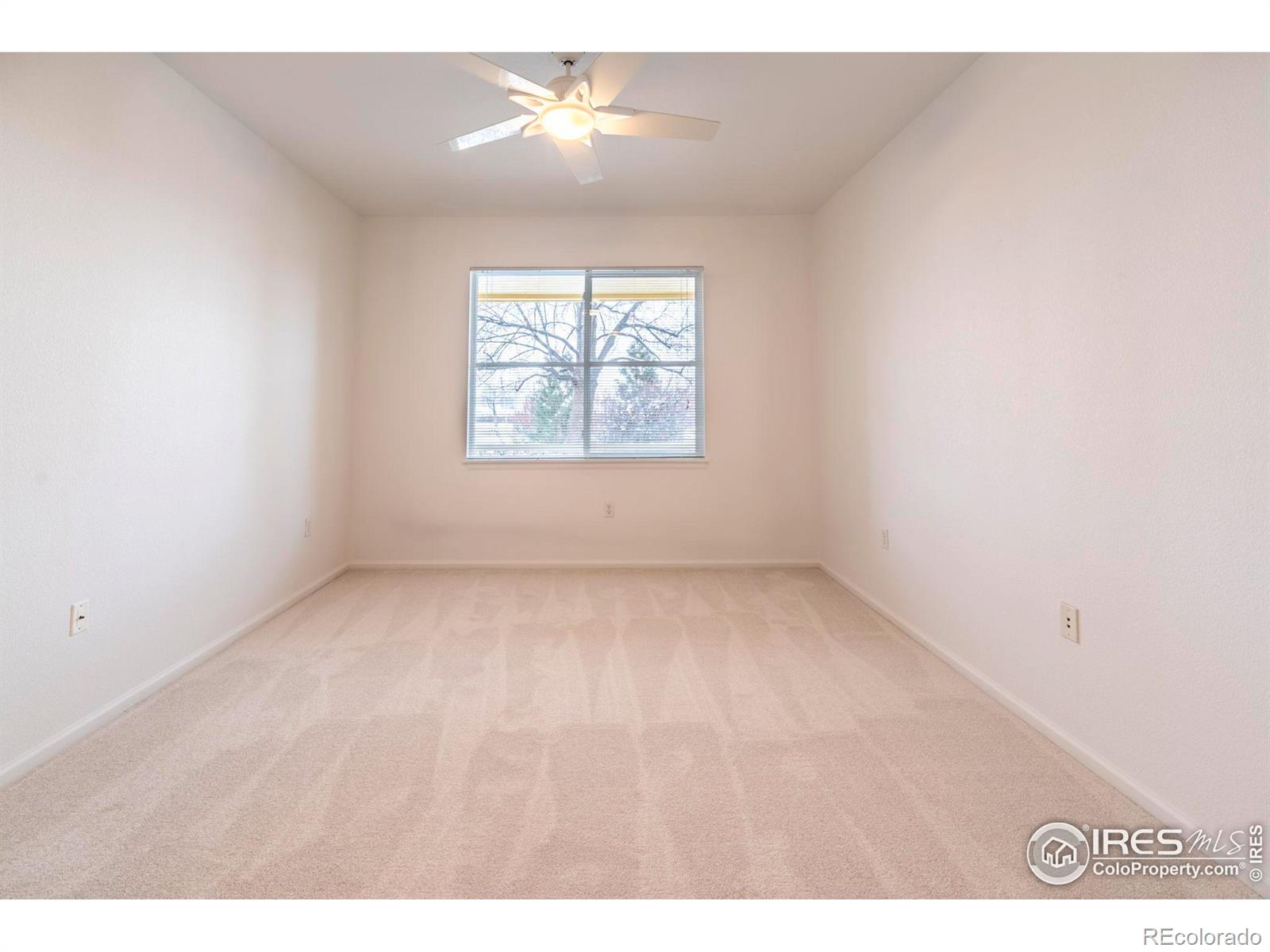 MLS Image #25 for 635  gooseberry drive,longmont, Colorado