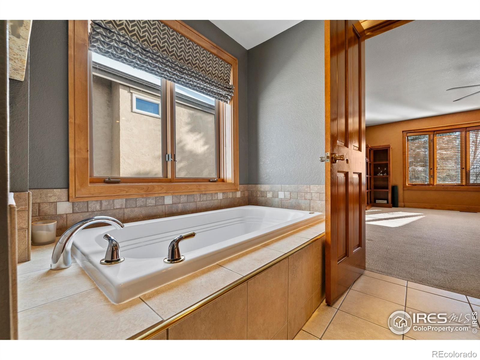 MLS Image #16 for 1001  belvedere court,fort collins, Colorado