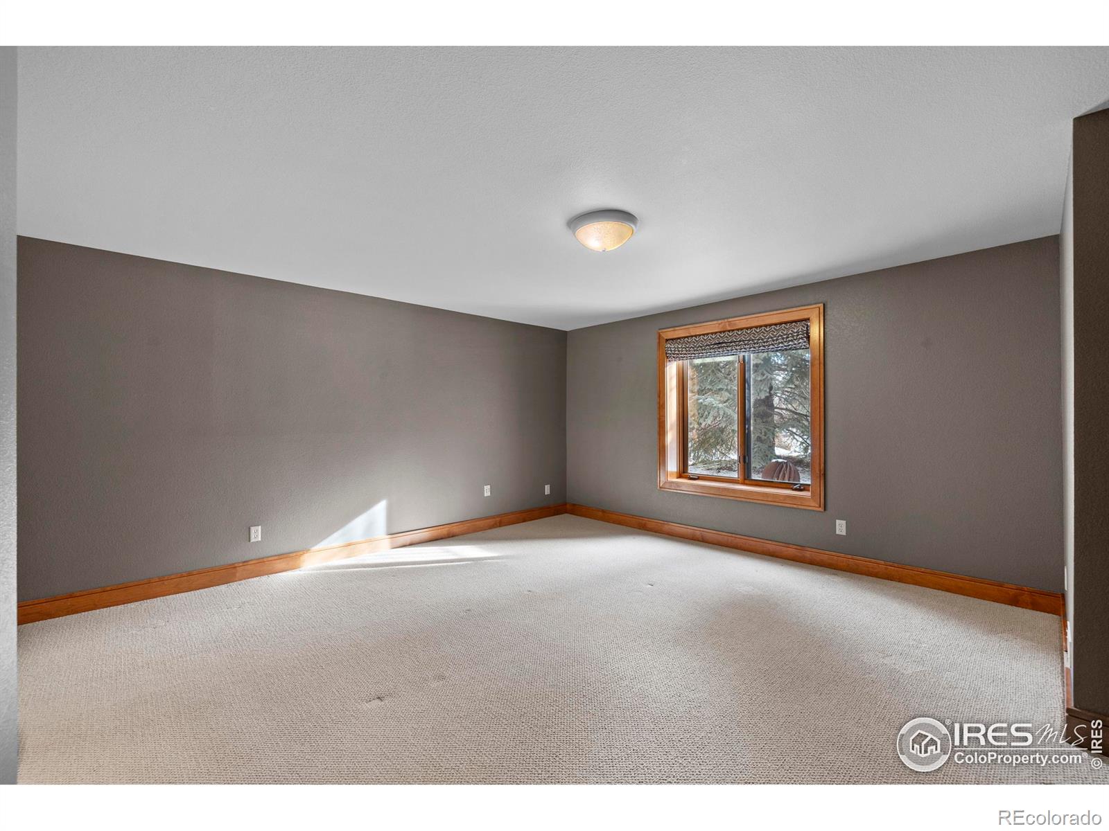 MLS Image #33 for 1001  belvedere court,fort collins, Colorado