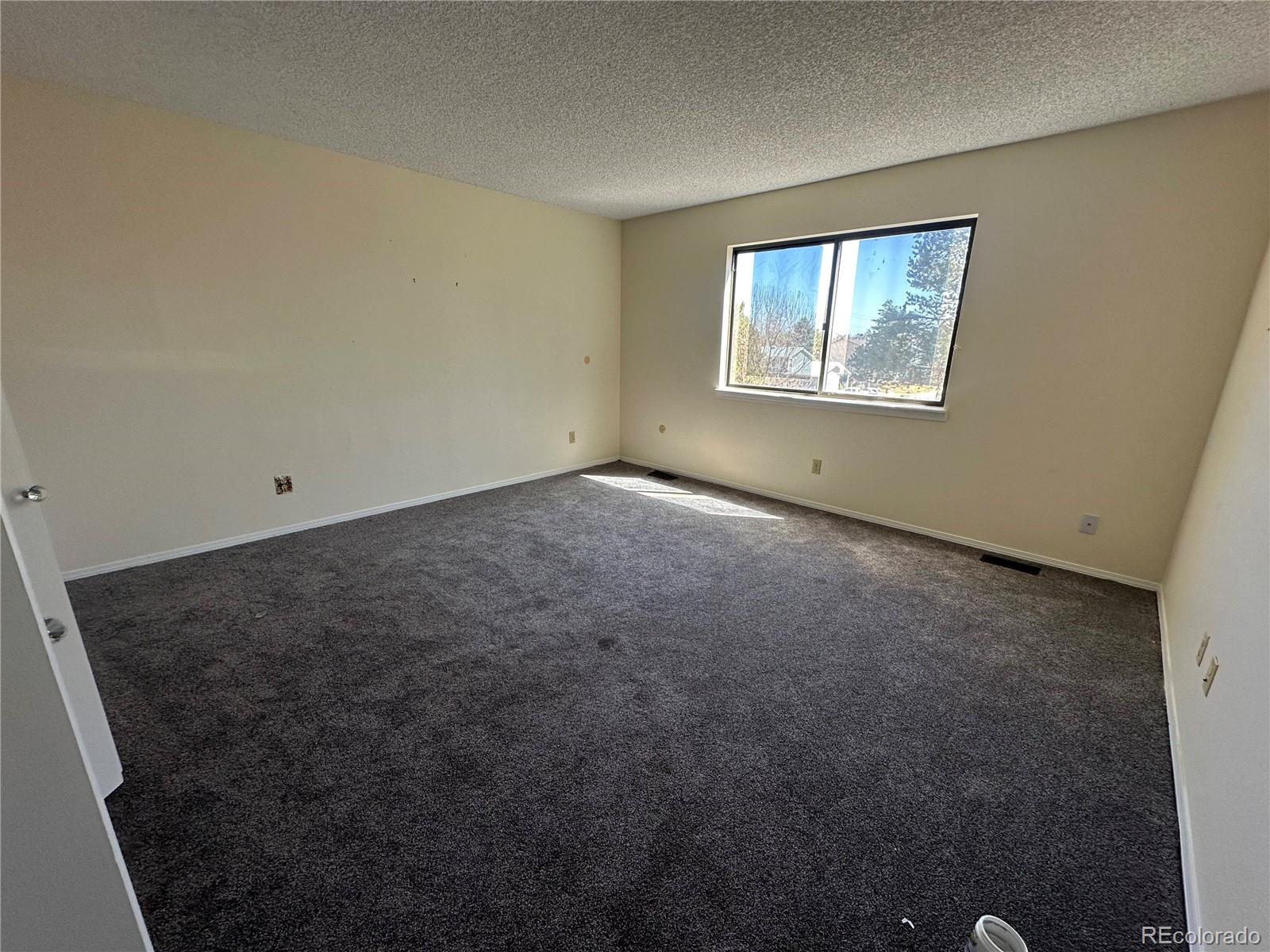 MLS Image #12 for 5138 s sedalia court,centennial, Colorado