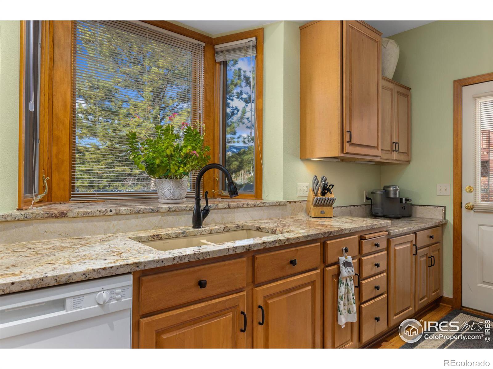 MLS Image #12 for 641  findley court,estes park, Colorado