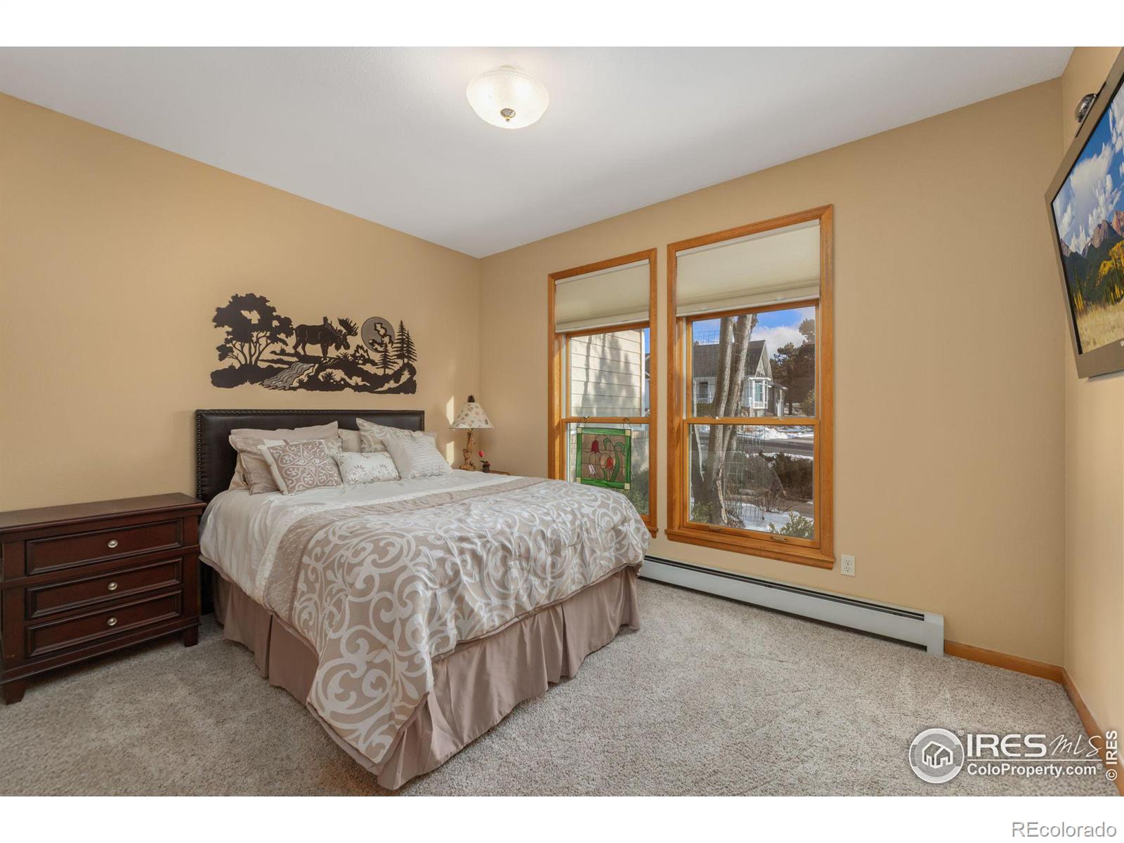 MLS Image #14 for 641  findley court,estes park, Colorado