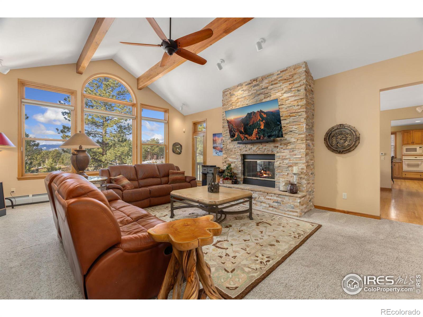 MLS Image #2 for 641  findley court,estes park, Colorado