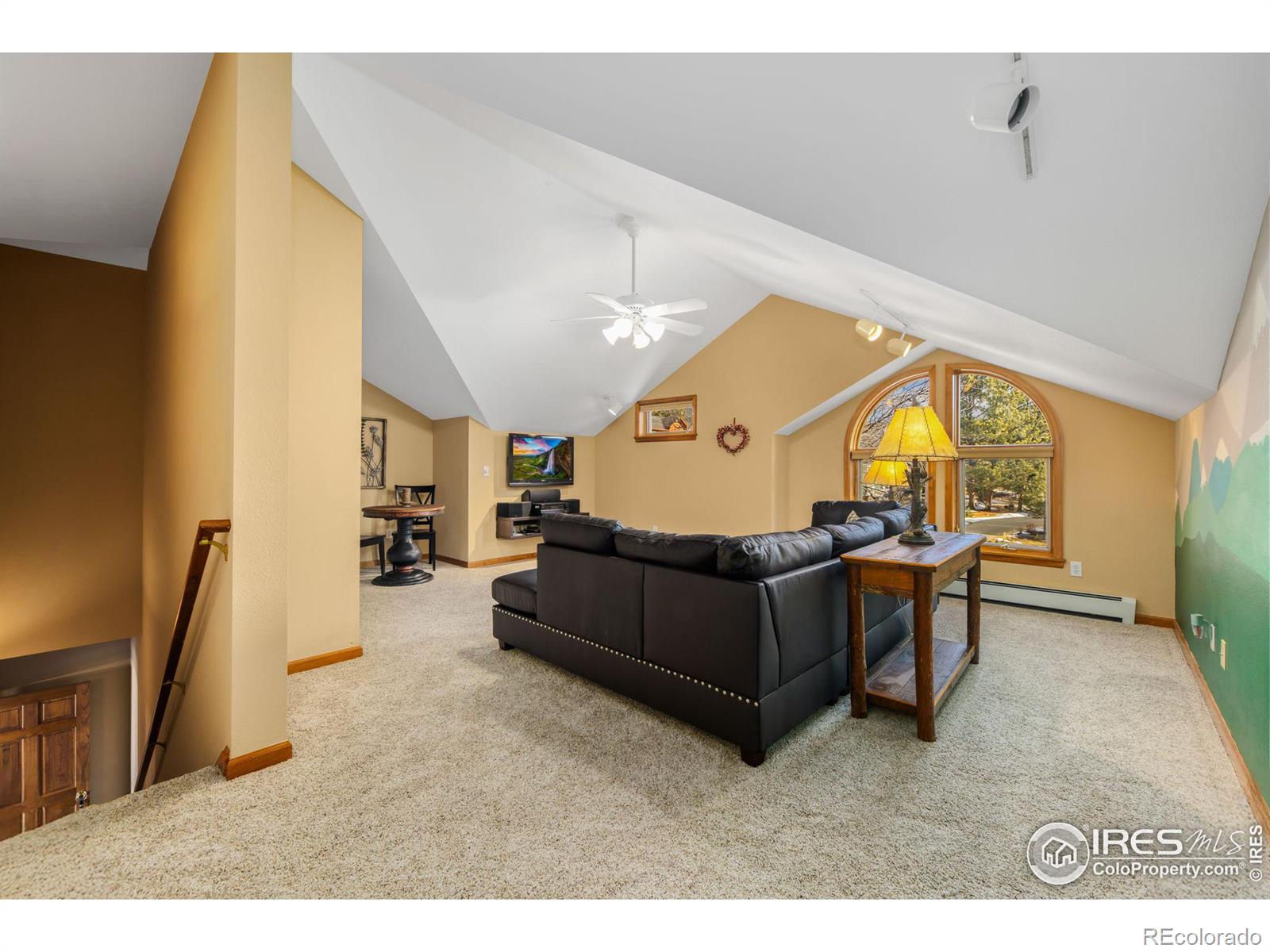 MLS Image #20 for 641  findley court,estes park, Colorado