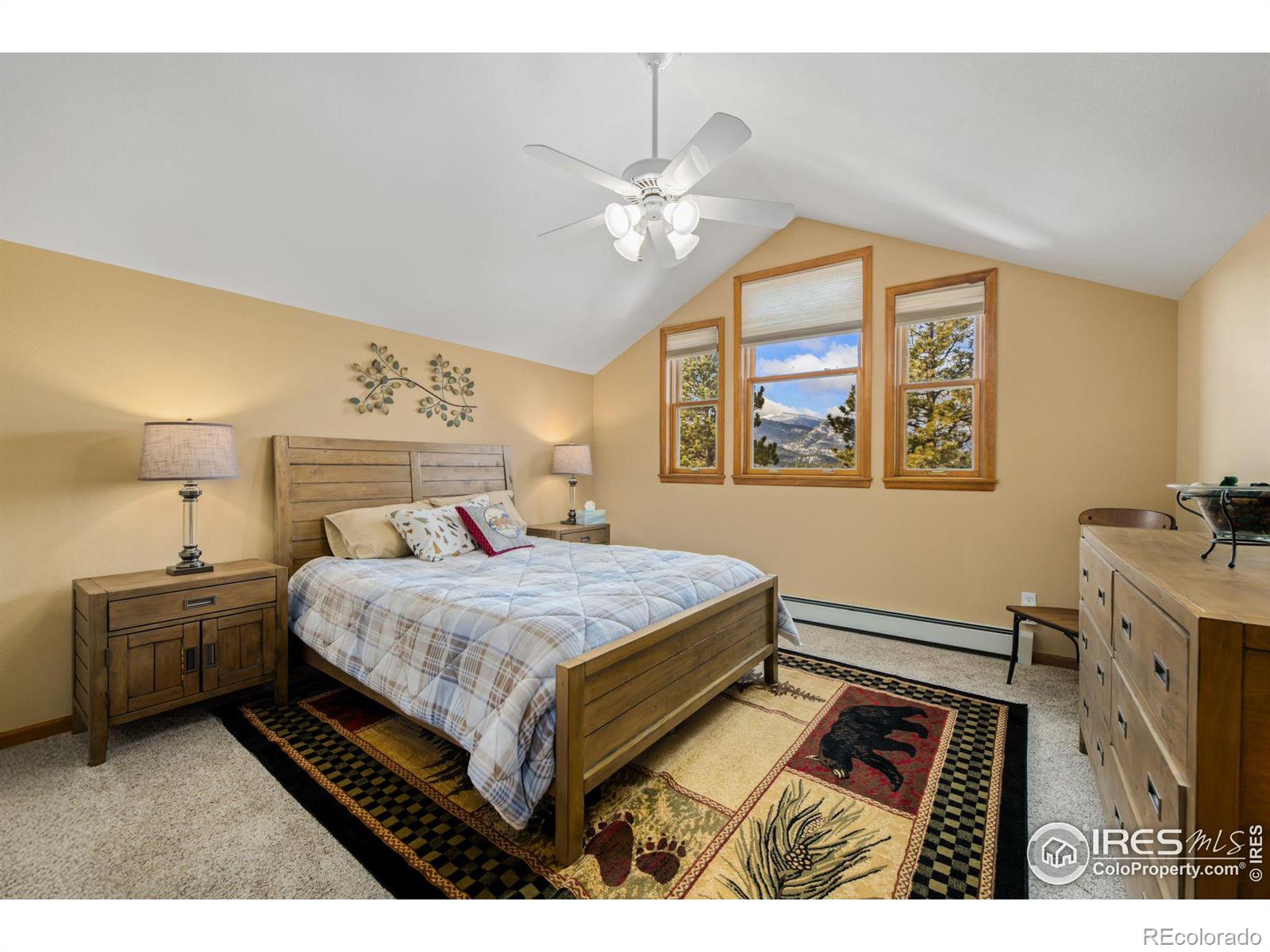 MLS Image #22 for 641  findley court,estes park, Colorado