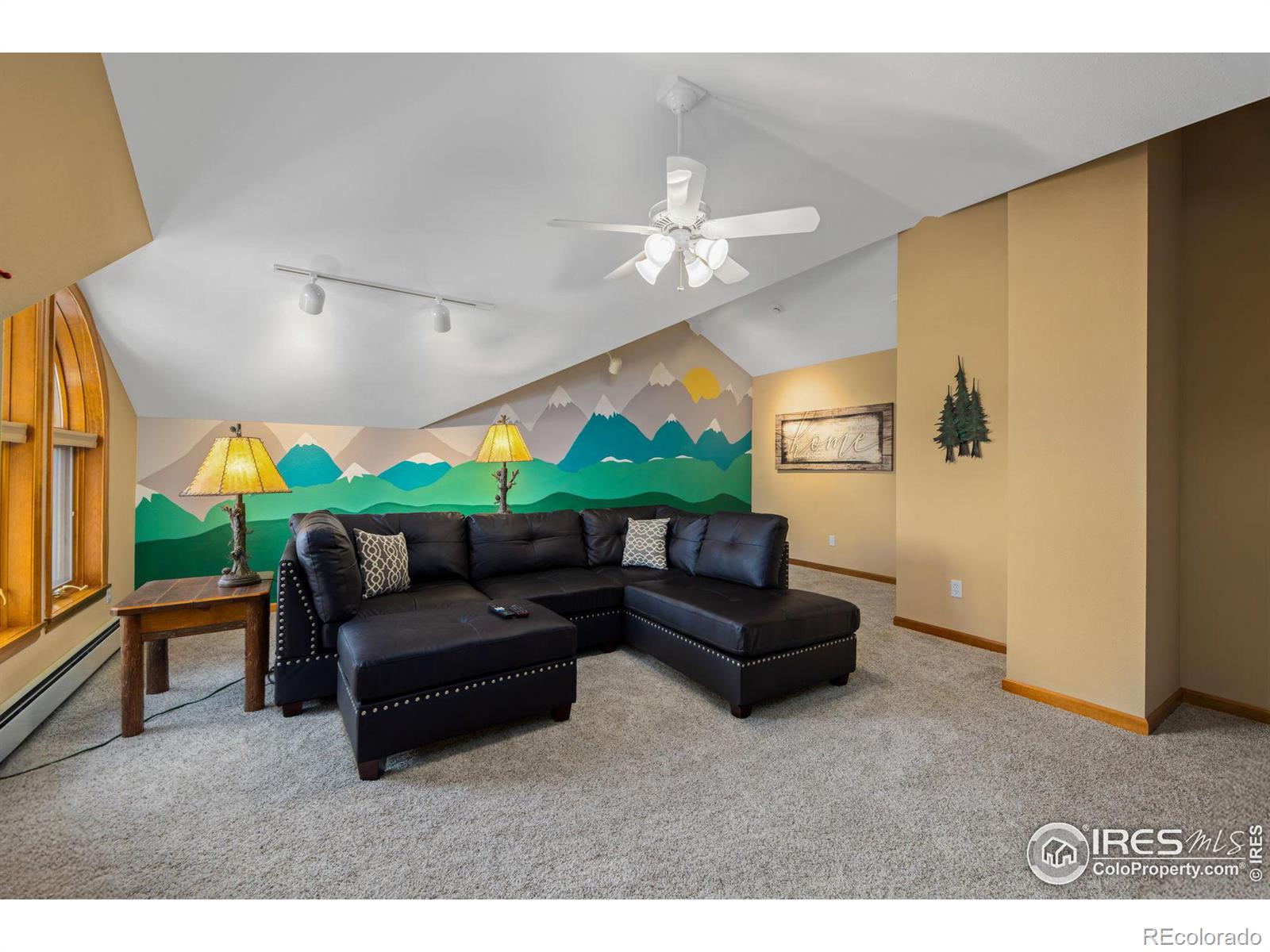 MLS Image #25 for 641  findley court,estes park, Colorado