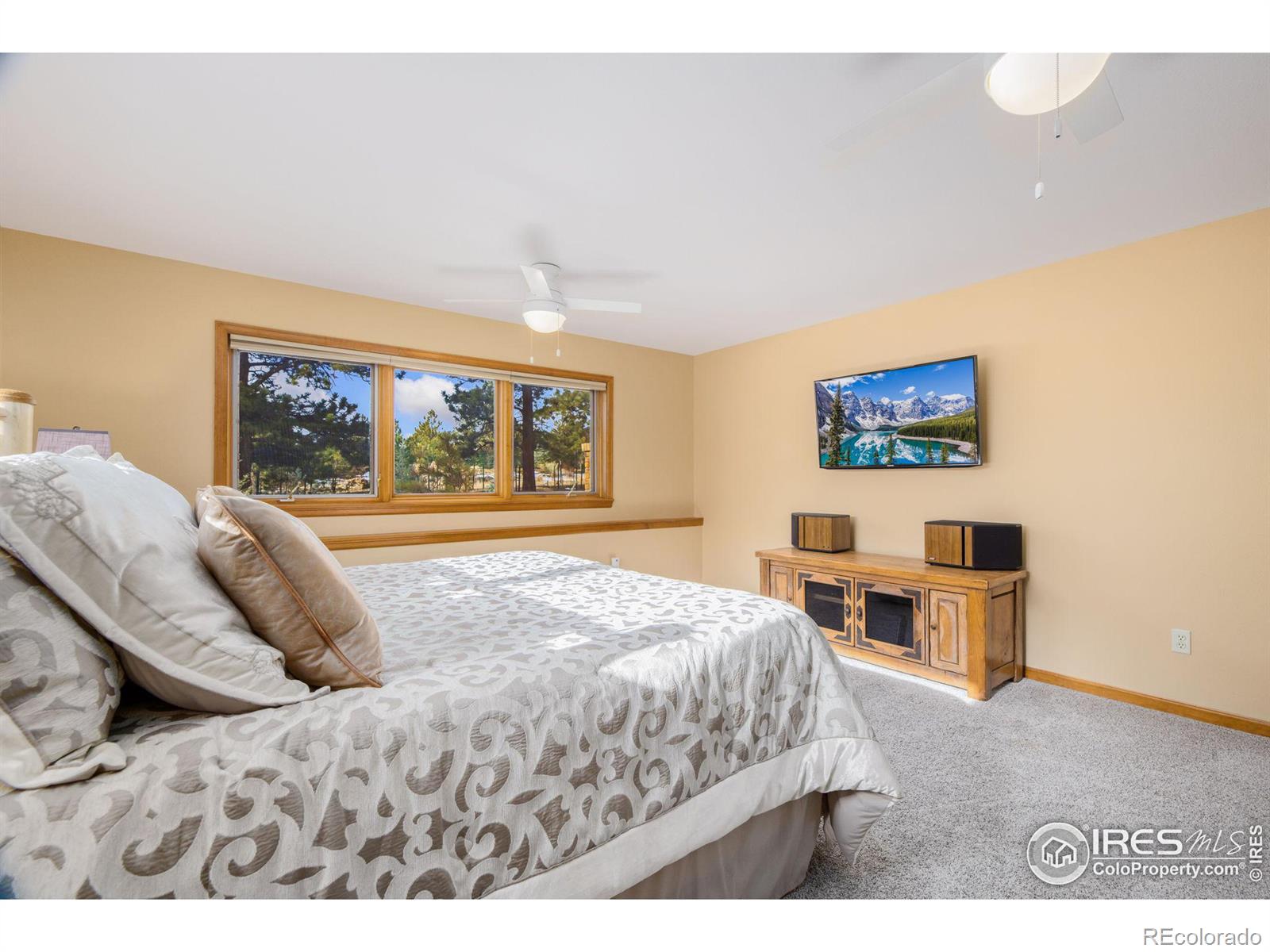 MLS Image #31 for 641  findley court,estes park, Colorado