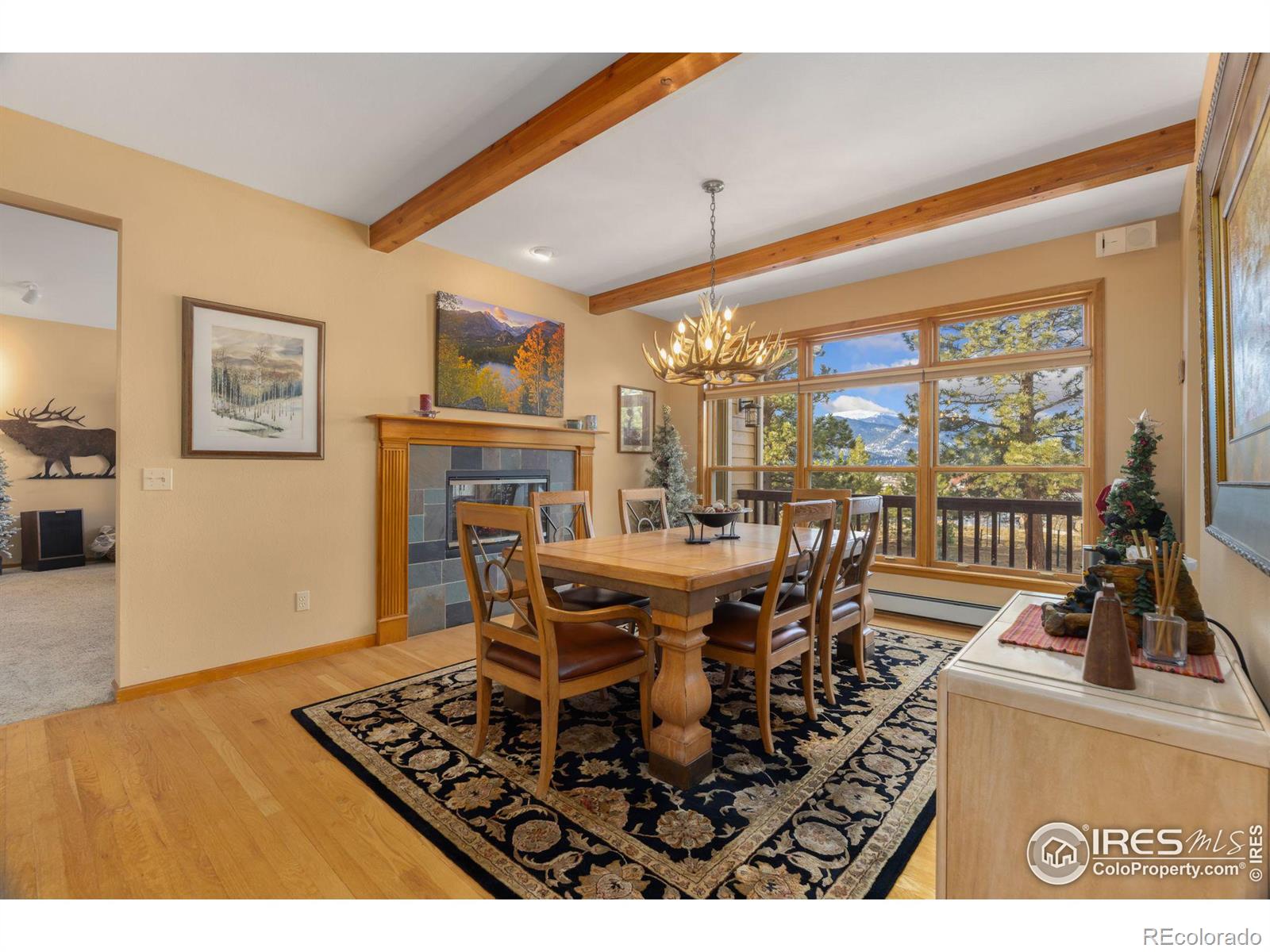 MLS Image #4 for 641  findley court,estes park, Colorado