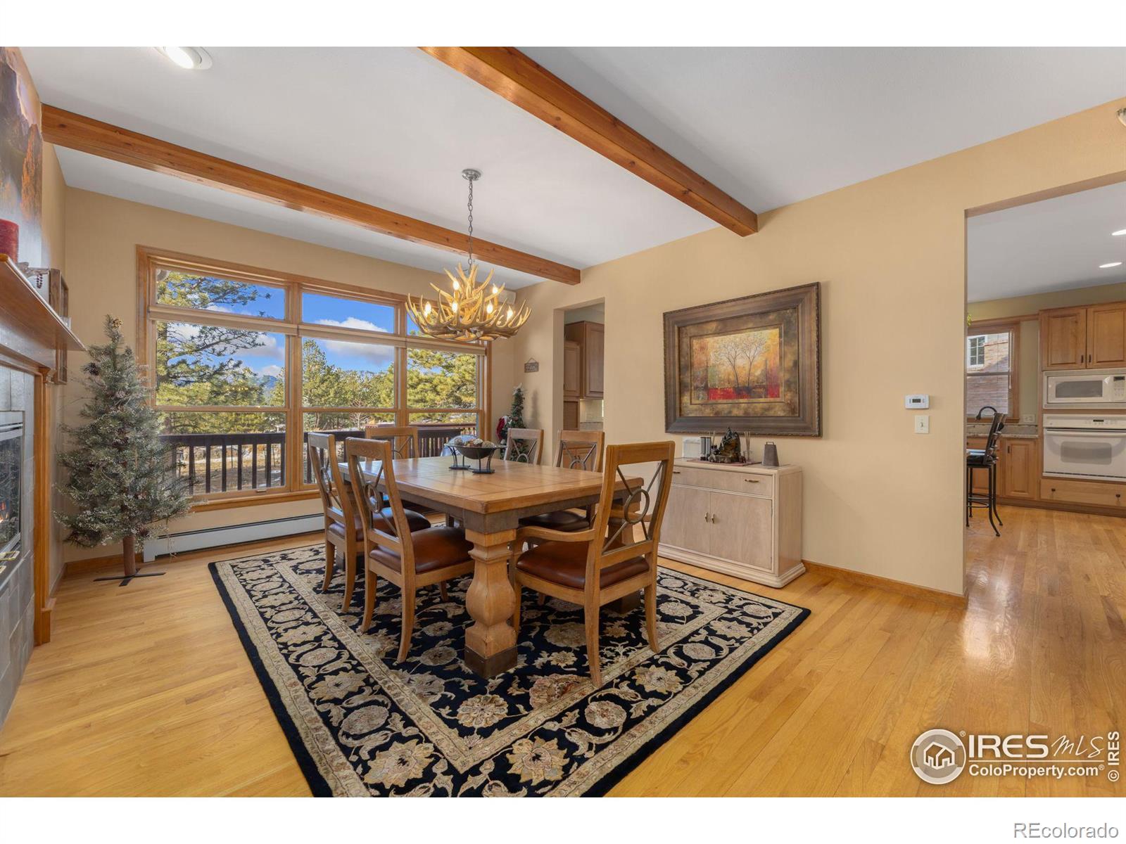 MLS Image #5 for 641  findley court,estes park, Colorado