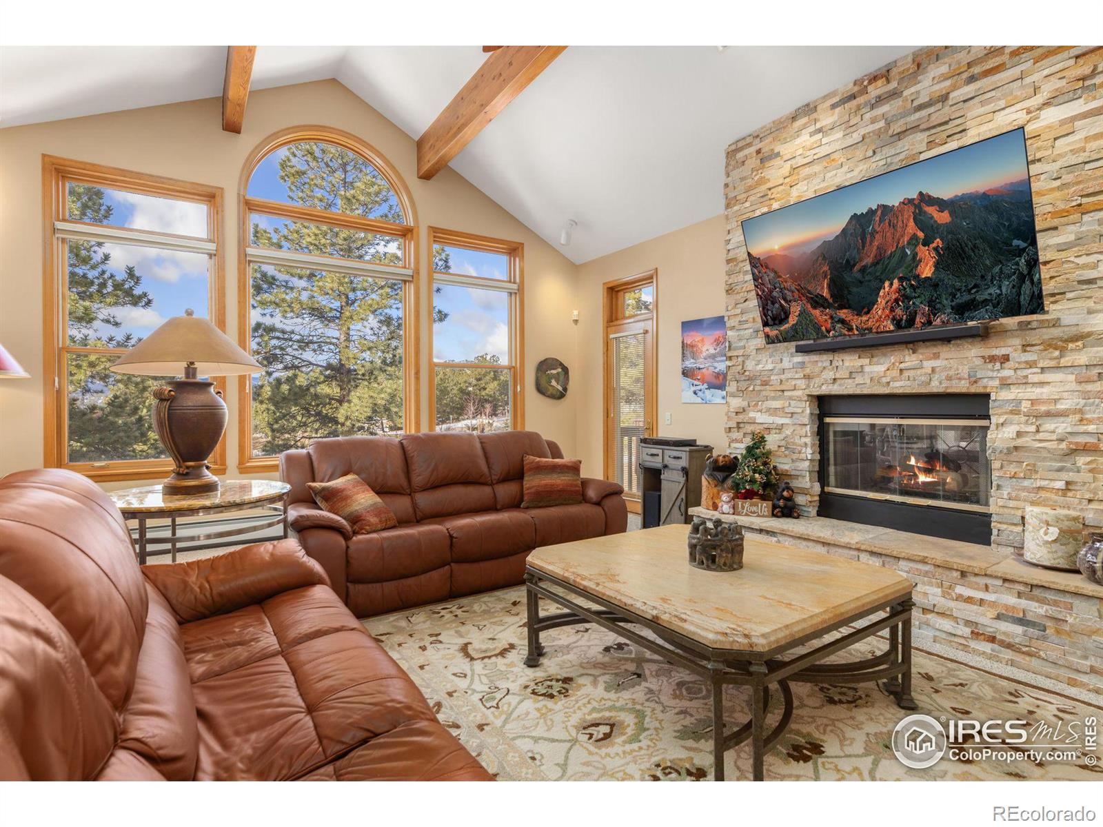 MLS Image #6 for 641  findley court,estes park, Colorado