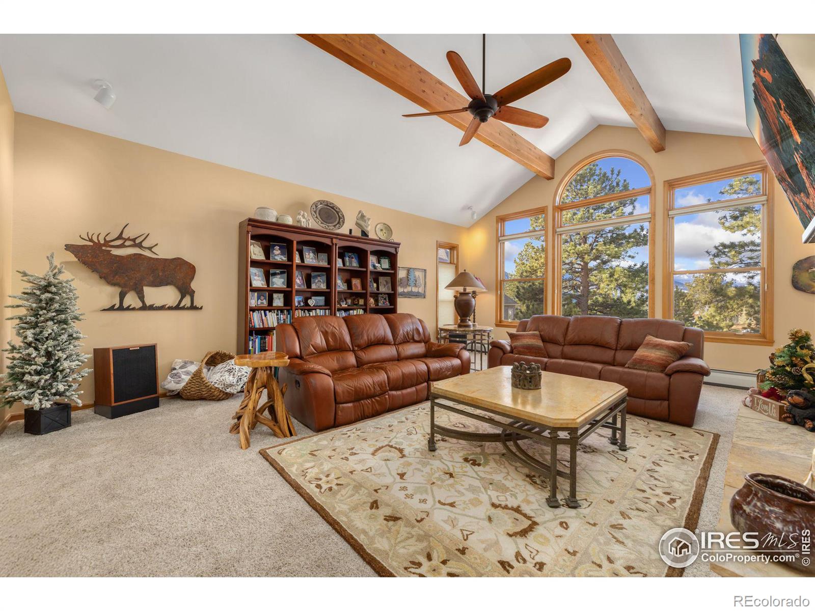 MLS Image #7 for 641  findley court,estes park, Colorado