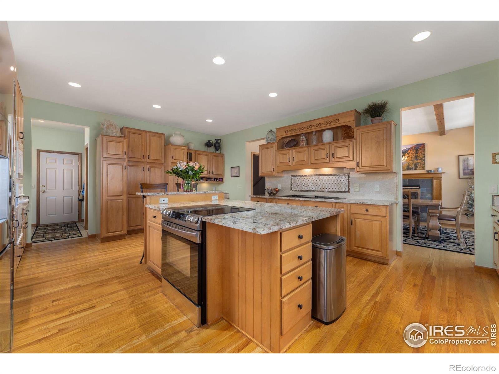 MLS Image #9 for 641  findley court,estes park, Colorado