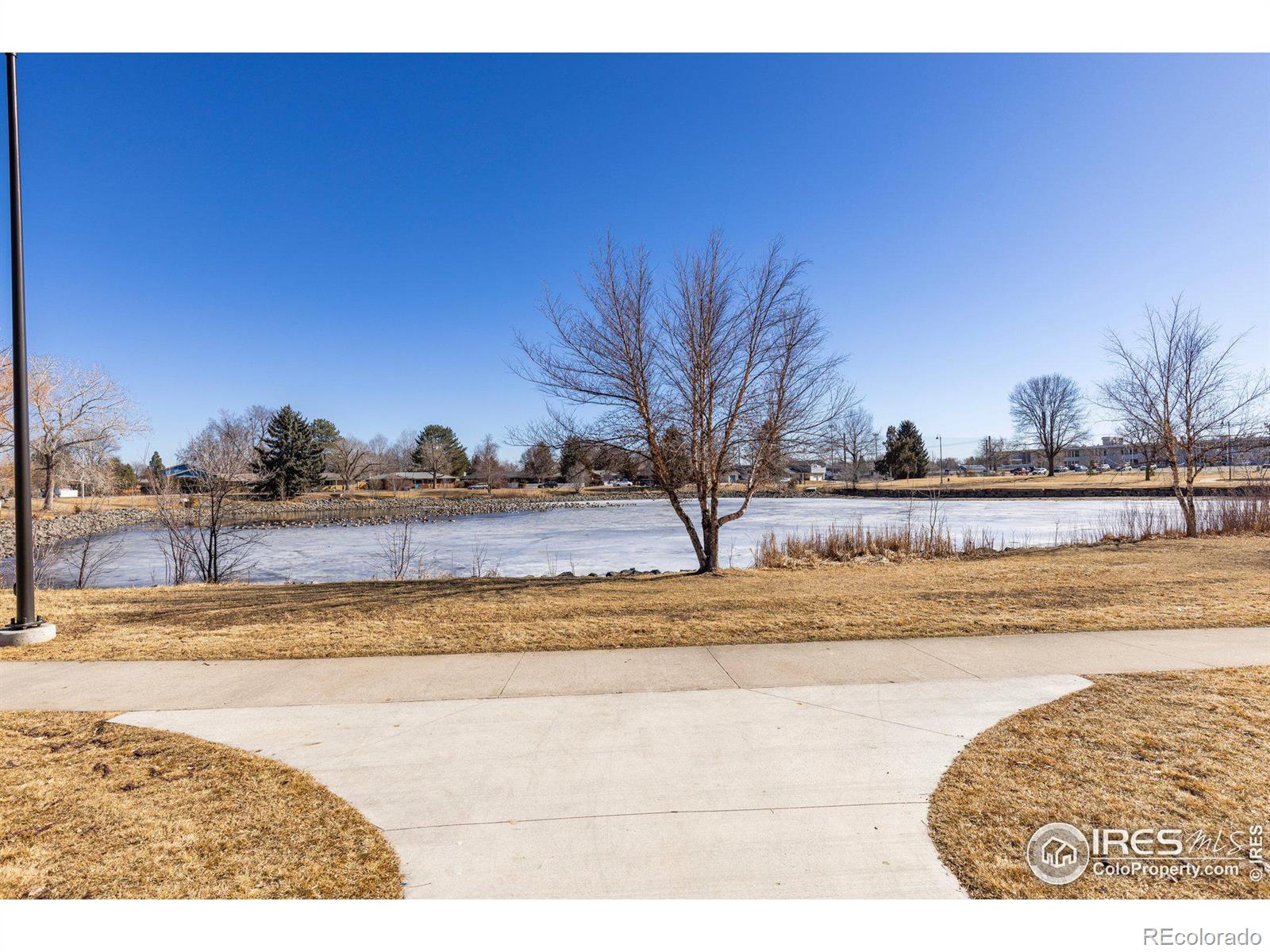 MLS Image #39 for 1104  sherri mar court,longmont, Colorado