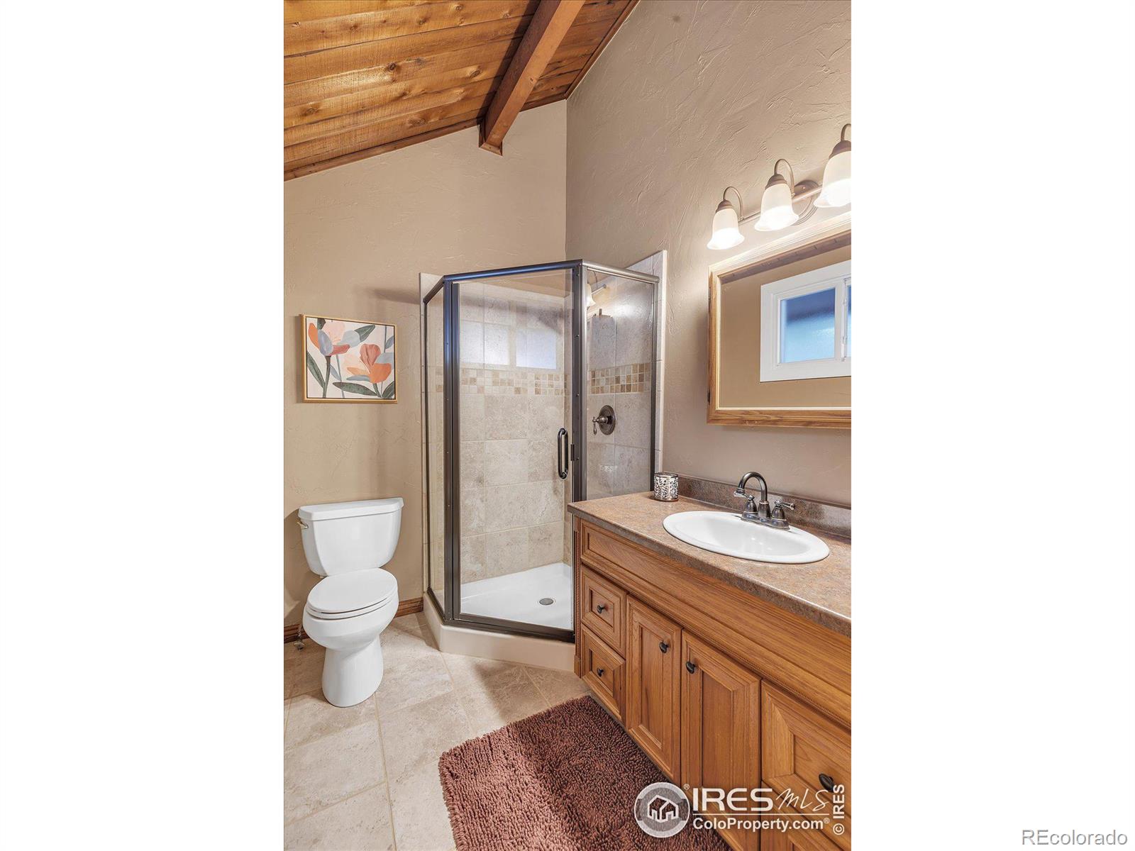 MLS Image #16 for 1170  elk valley drive,evergreen, Colorado