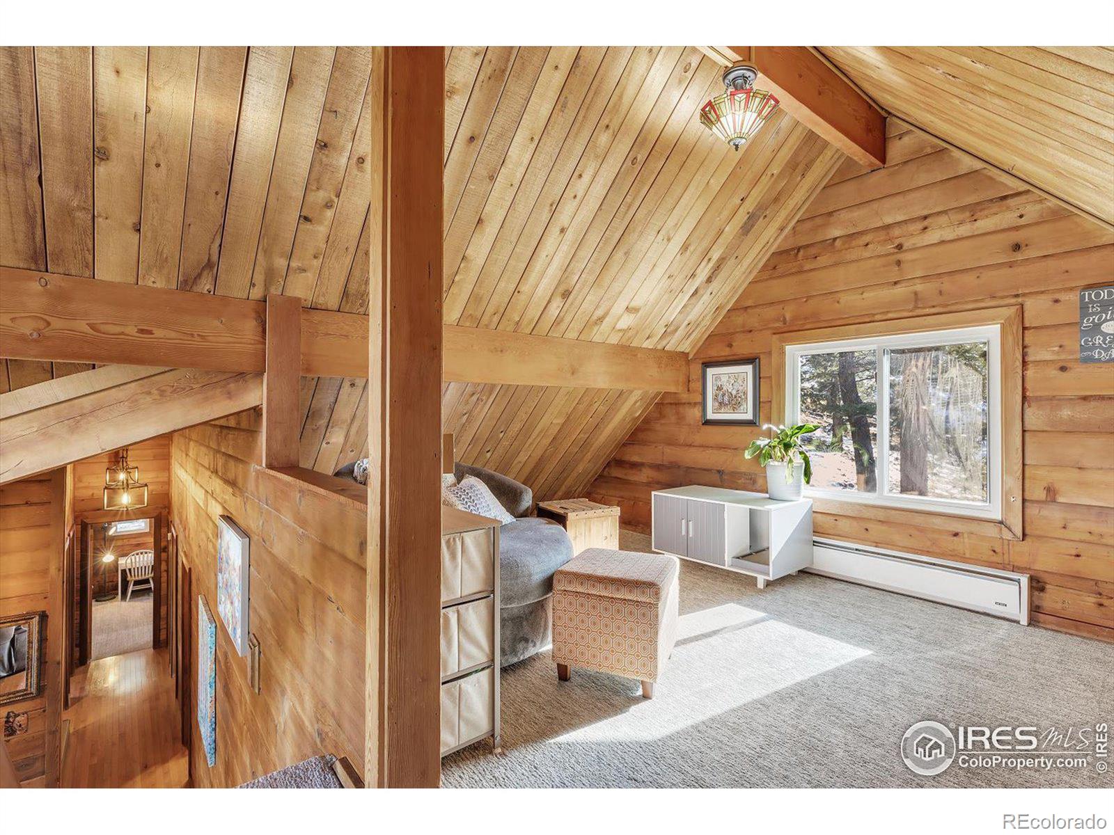 MLS Image #19 for 1170  elk valley drive,evergreen, Colorado