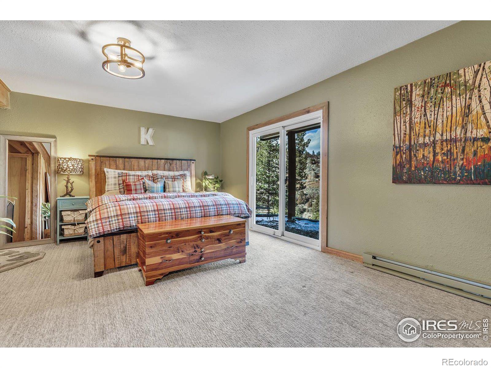 MLS Image #21 for 1170  elk valley drive,evergreen, Colorado