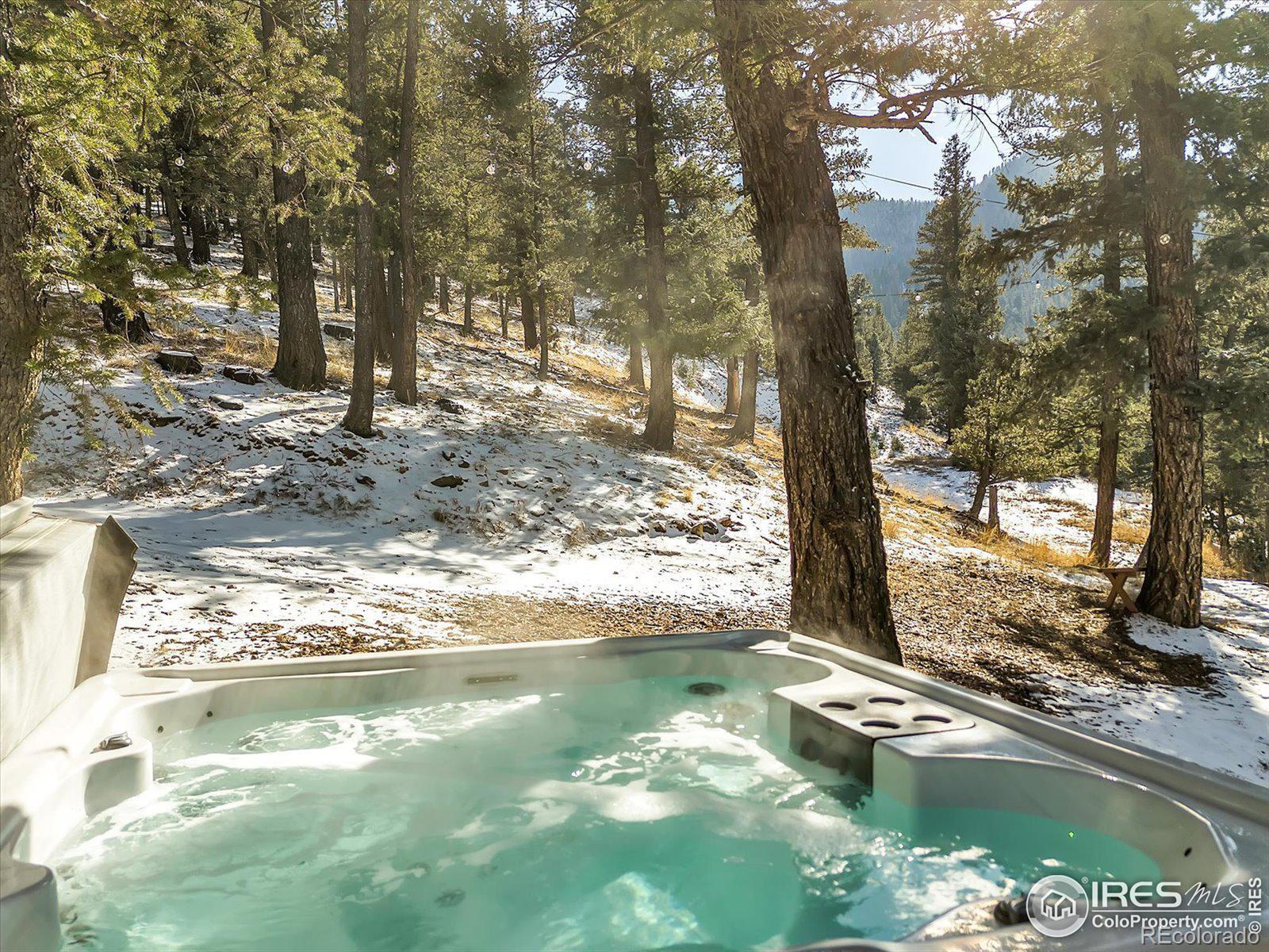 MLS Image #3 for 1170  elk valley drive,evergreen, Colorado