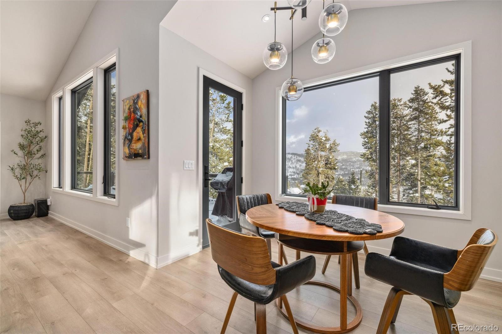 MLS Image #18 for 578  american way,breckenridge, Colorado