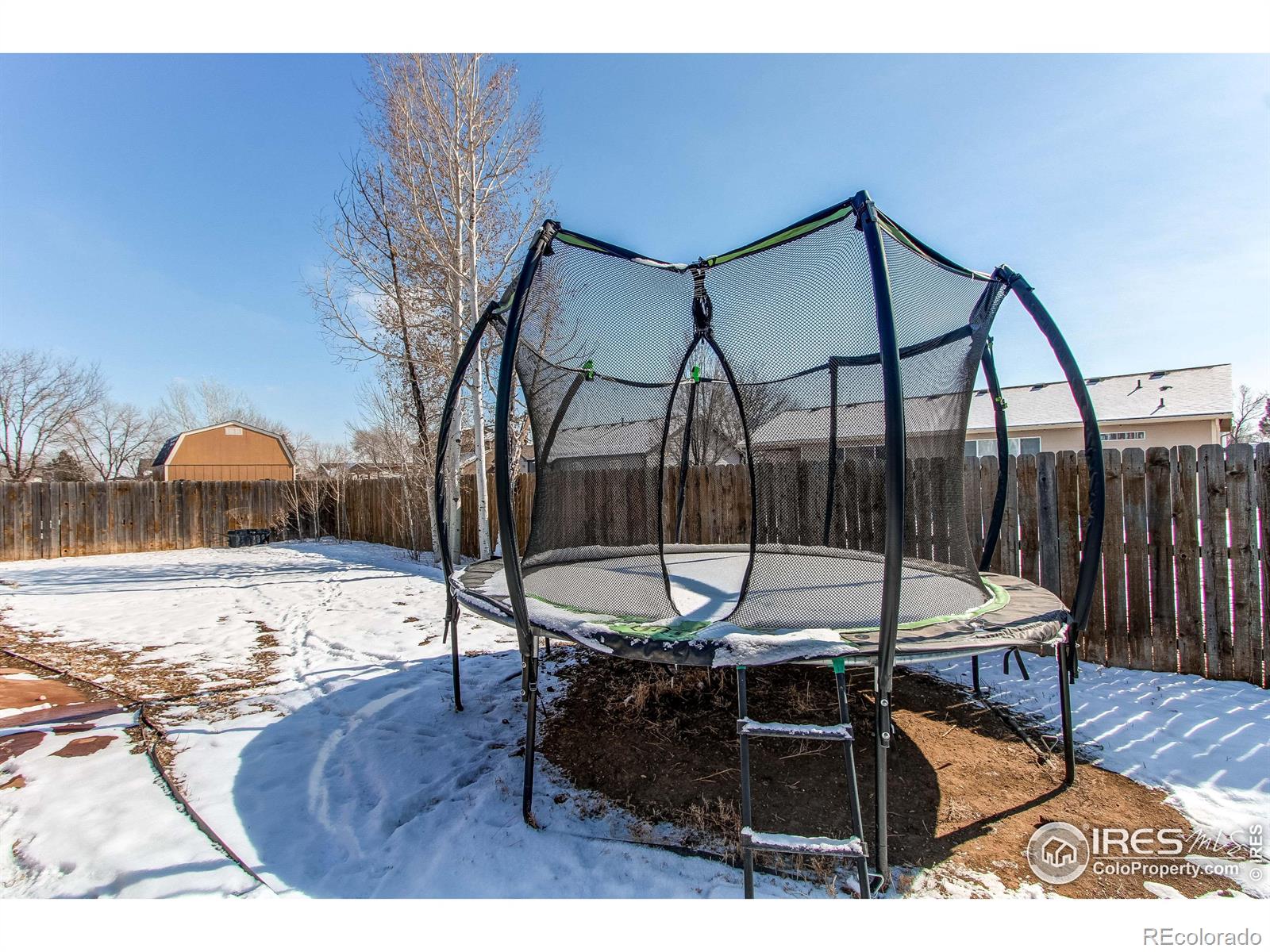 MLS Image #28 for 3559  polk circle,wellington, Colorado