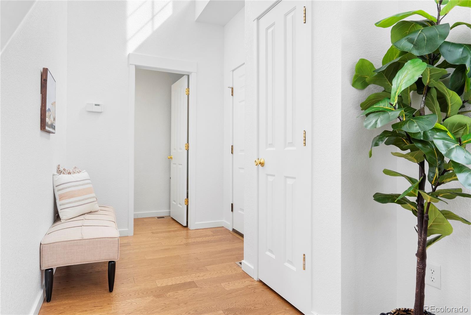 MLS Image #14 for 3815  red deer trail,broomfield, Colorado