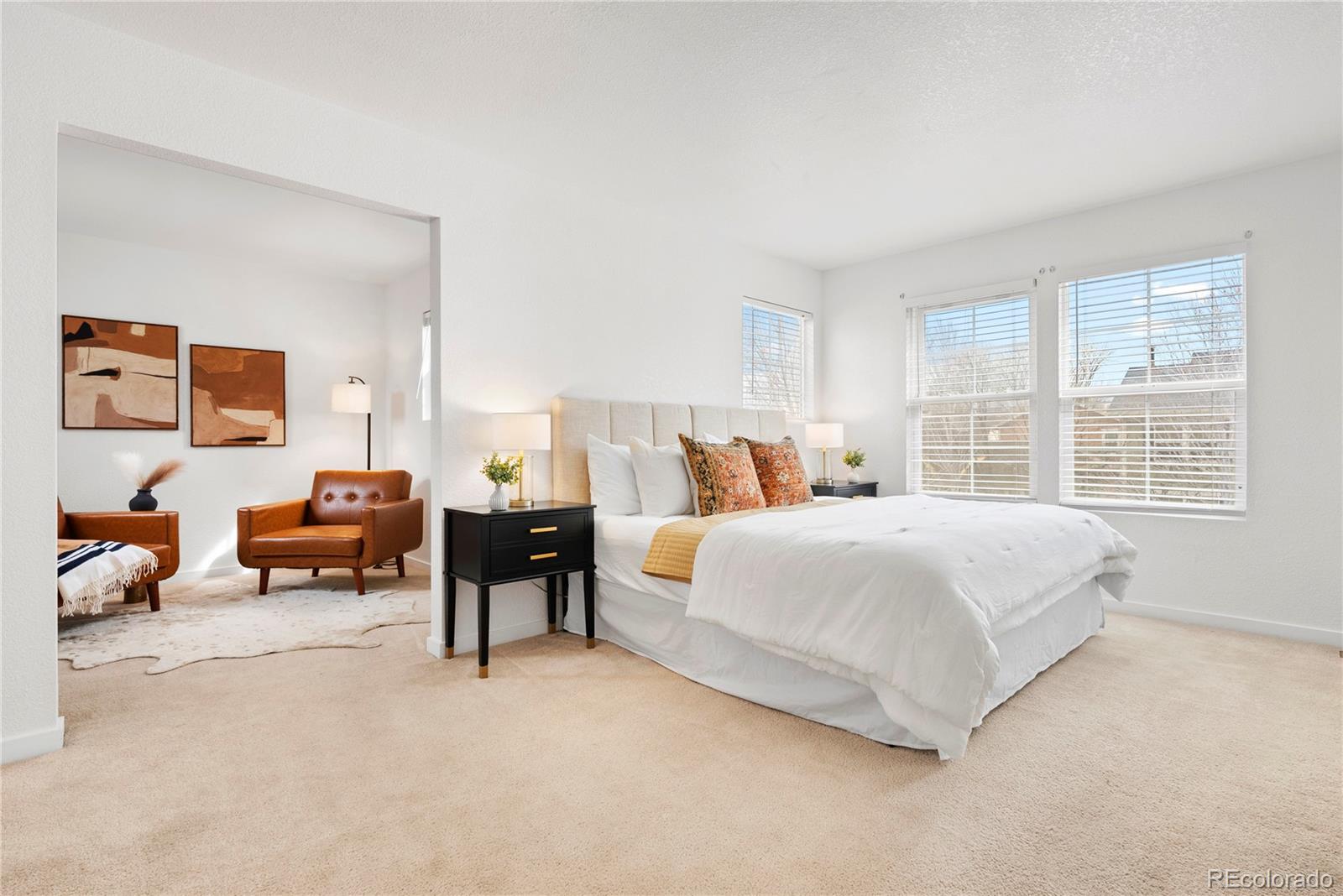MLS Image #18 for 3815  red deer trail,broomfield, Colorado