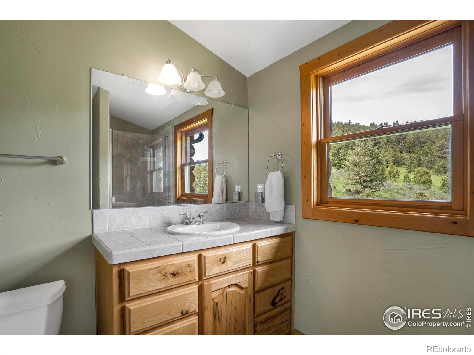 MLS Image #14 for 555  james park trail,loveland, Colorado