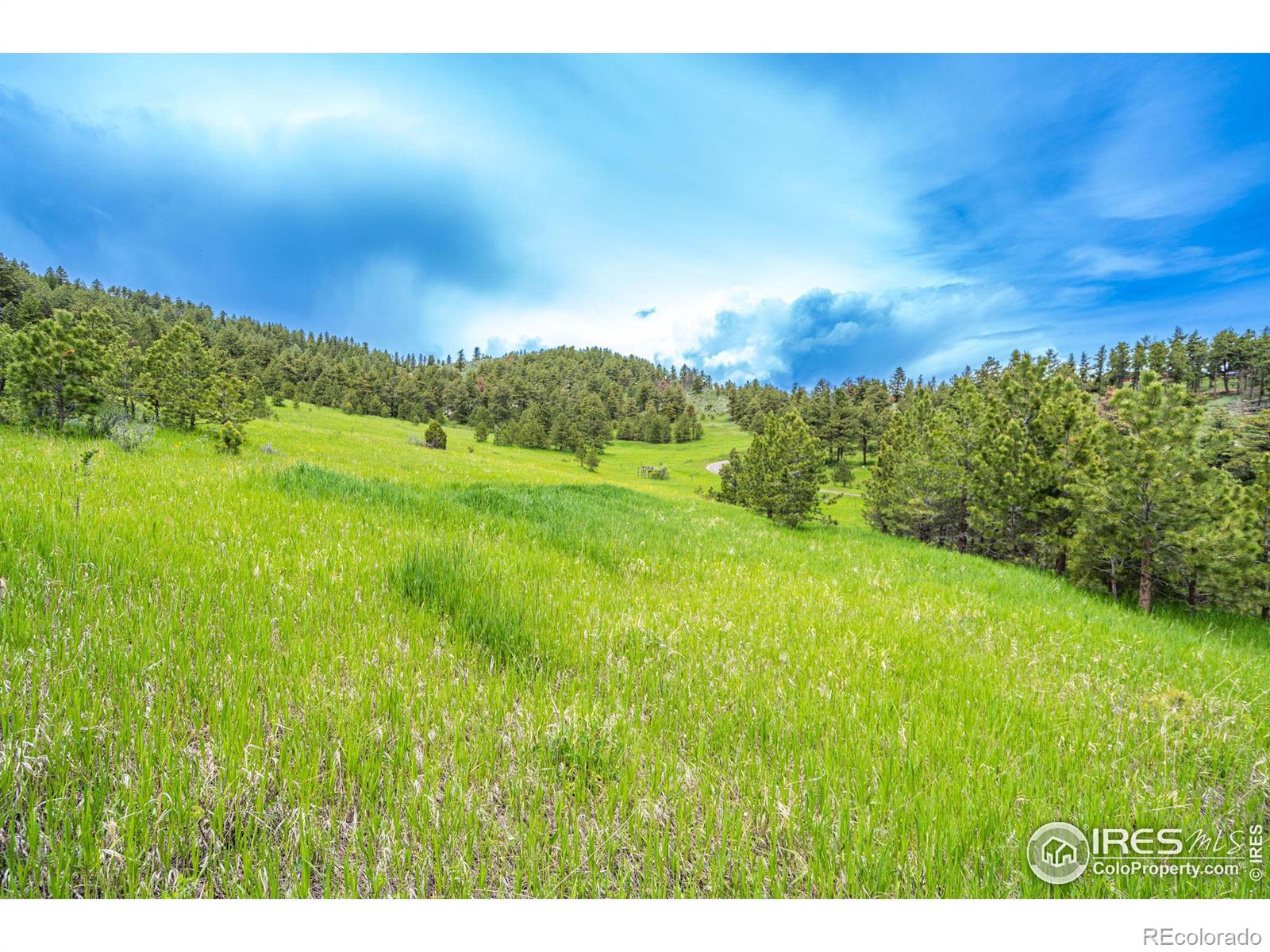 MLS Image #26 for 555  james park trail,loveland, Colorado