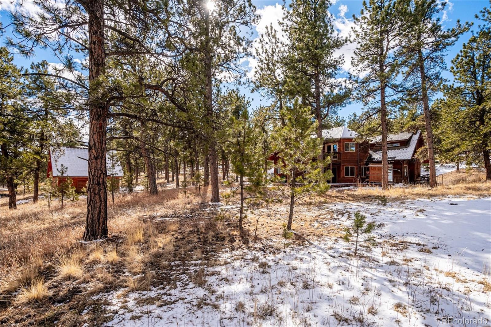 MLS Image #19 for 629  conestoga road,bailey, Colorado