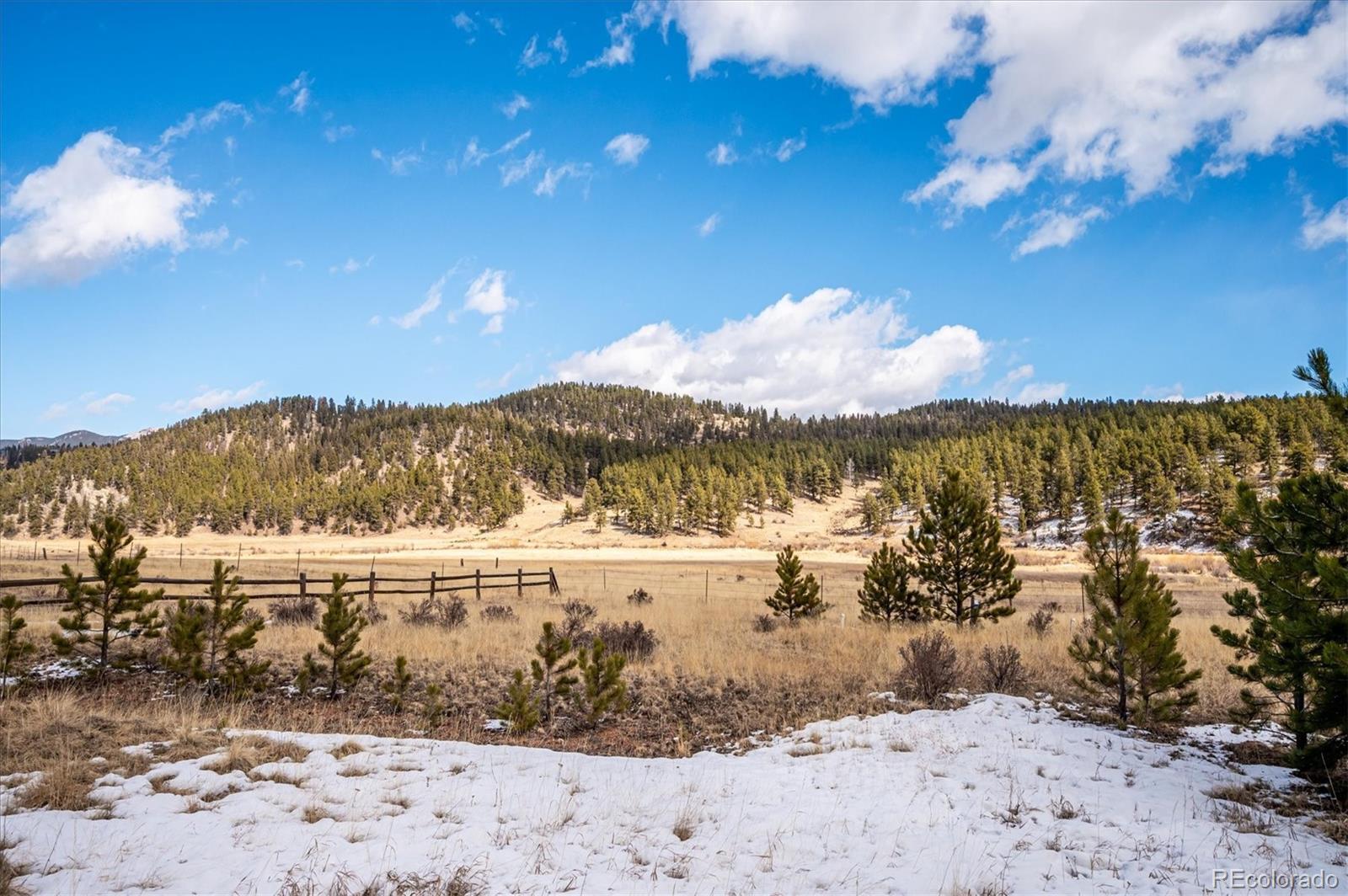 MLS Image #20 for 629  conestoga road,bailey, Colorado