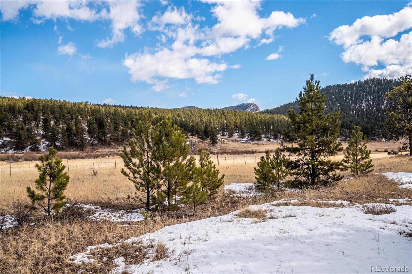 MLS Image #21 for 629  conestoga road,bailey, Colorado