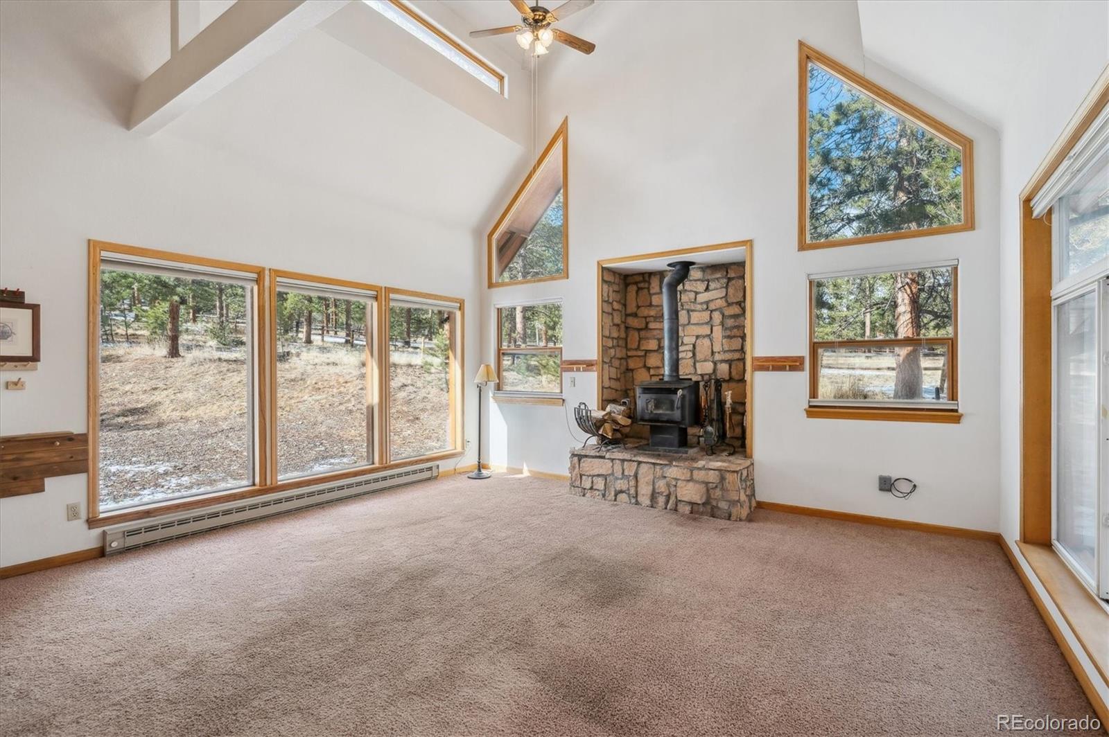 MLS Image #4 for 629  conestoga road,bailey, Colorado