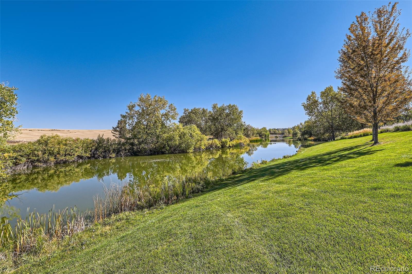 MLS Image #34 for 4285  corte bella drive,broomfield, Colorado