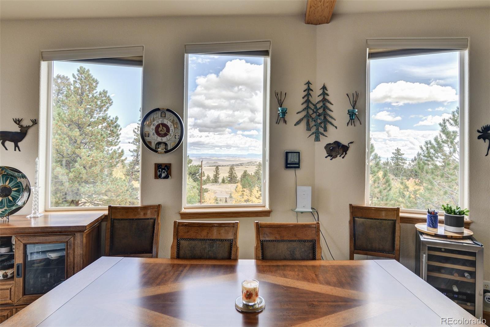 MLS Image #21 for 3480  singletree road,hartsel, Colorado