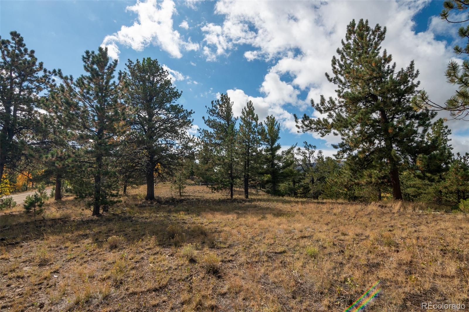 MLS Image #47 for 3480  singletree road,hartsel, Colorado