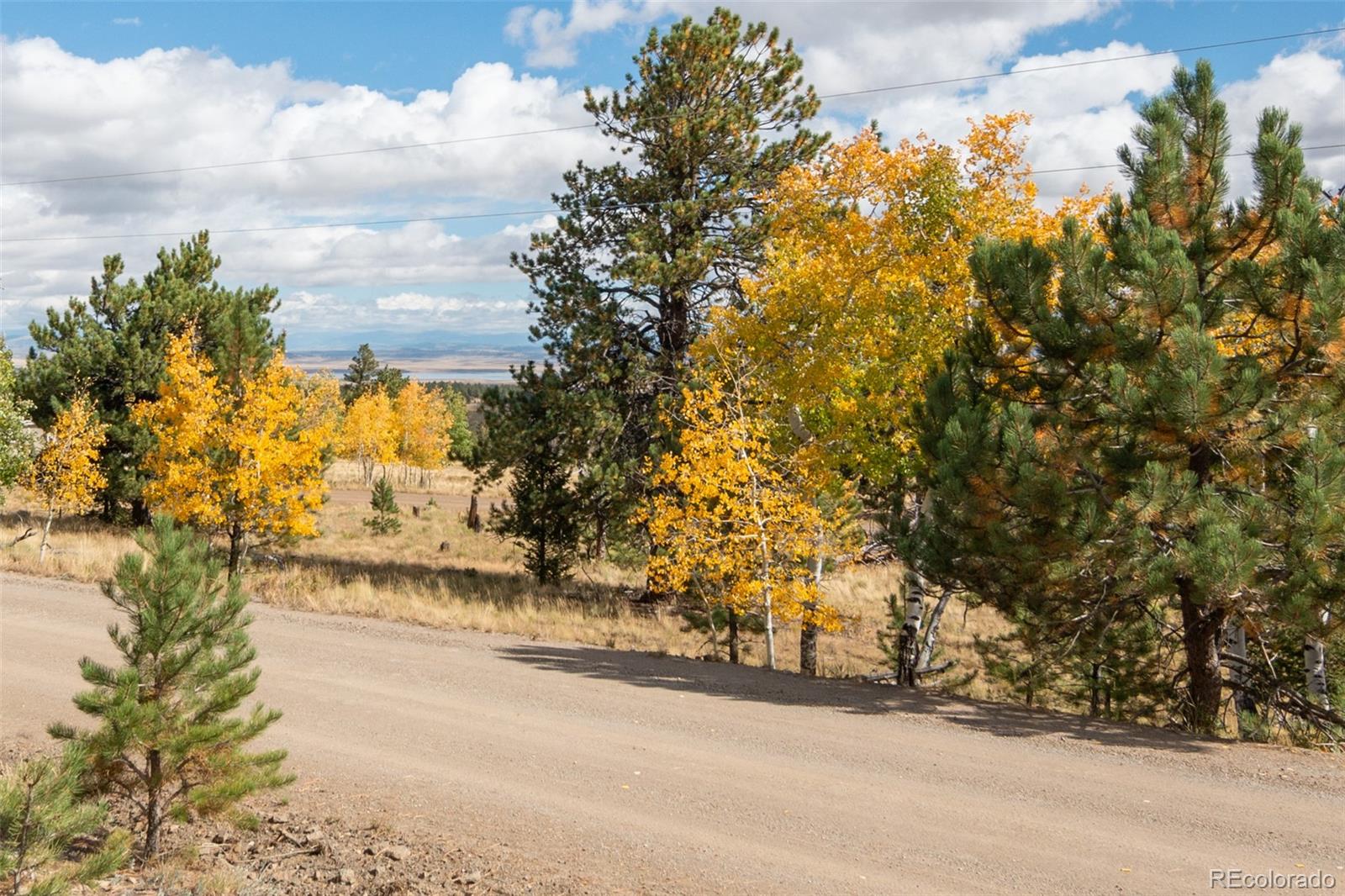 MLS Image #49 for 3480  singletree road,hartsel, Colorado