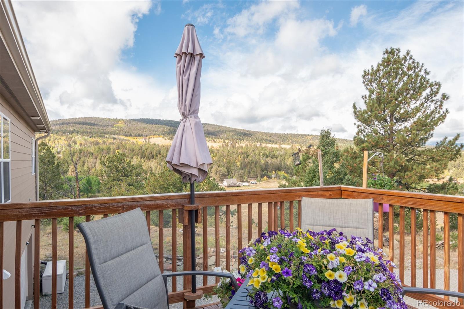 MLS Image #7 for 3480  singletree road,hartsel, Colorado